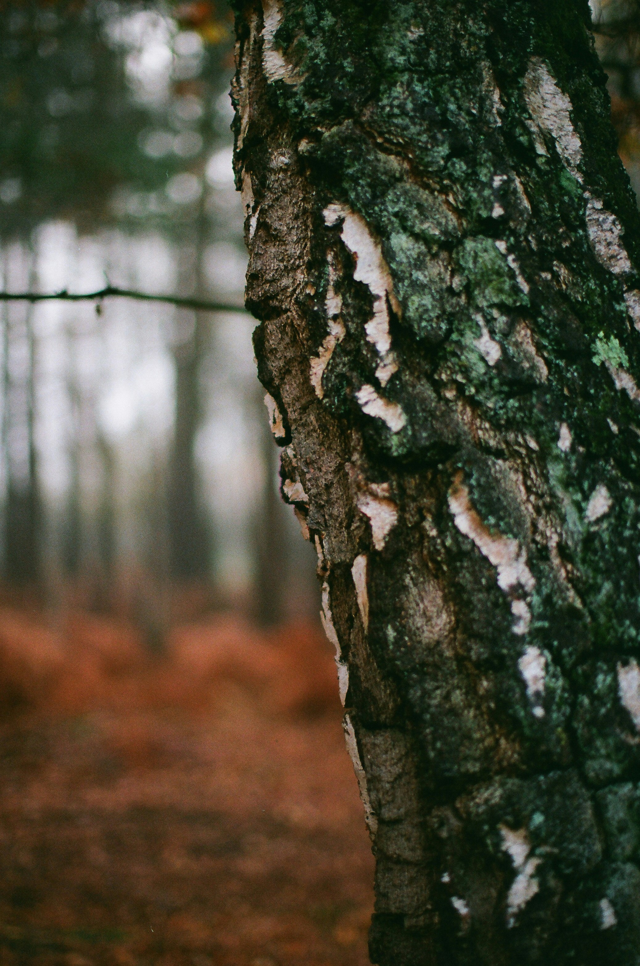 Photo by tanyabarrow