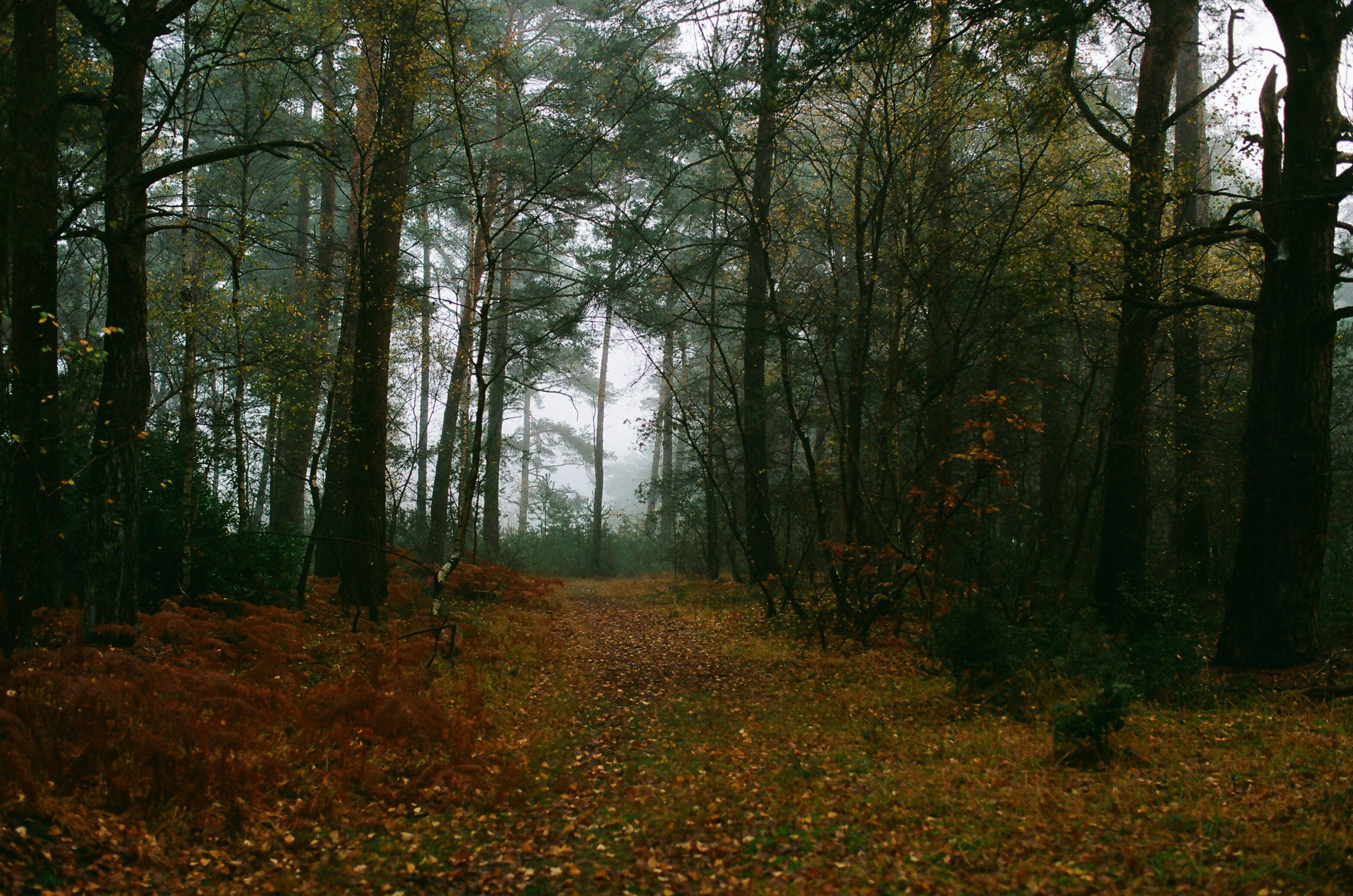 Photo by tanyabarrow