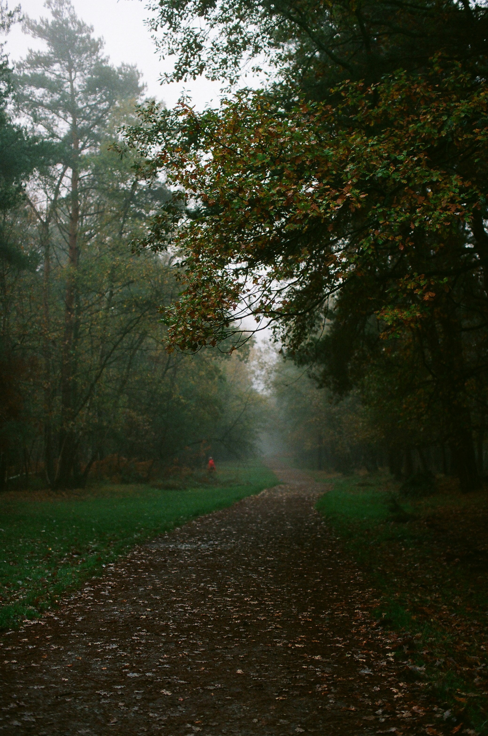 Photo by tanyabarrow