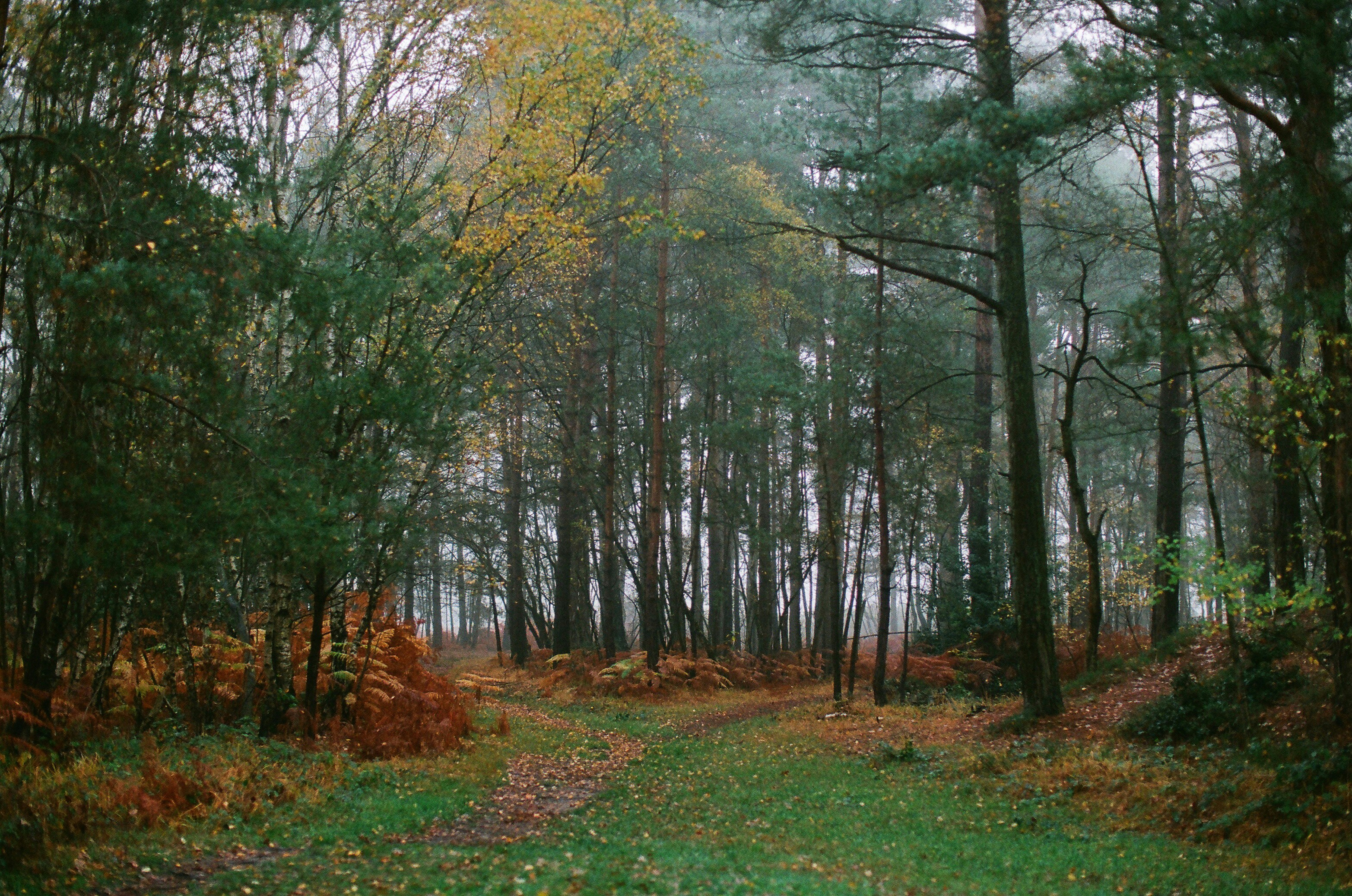 Photo by tanyabarrow