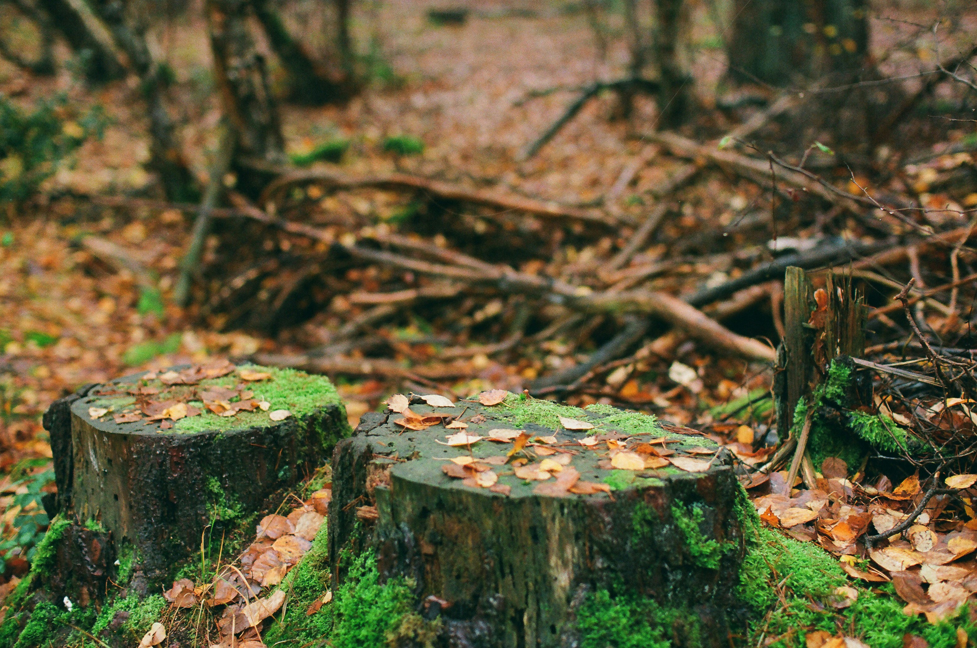 Photo by tanyabarrow