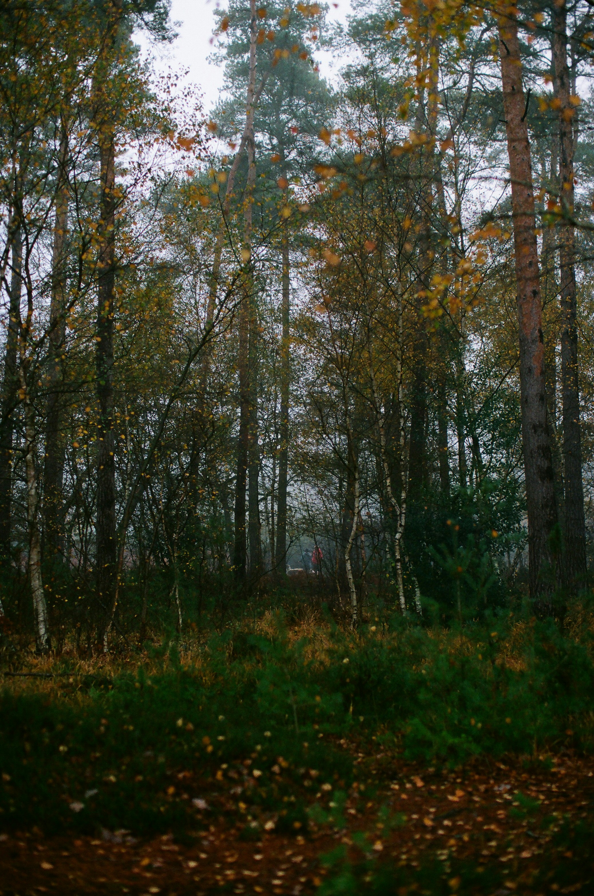 Photo by tanyabarrow