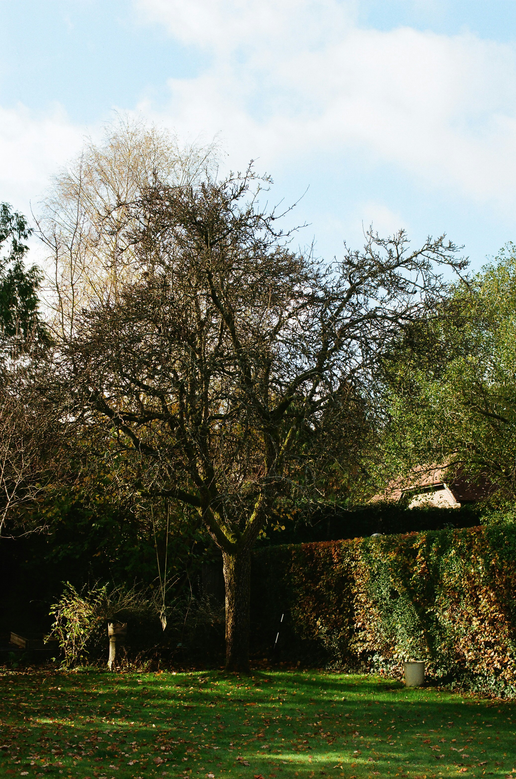 Photo by tanyabarrow