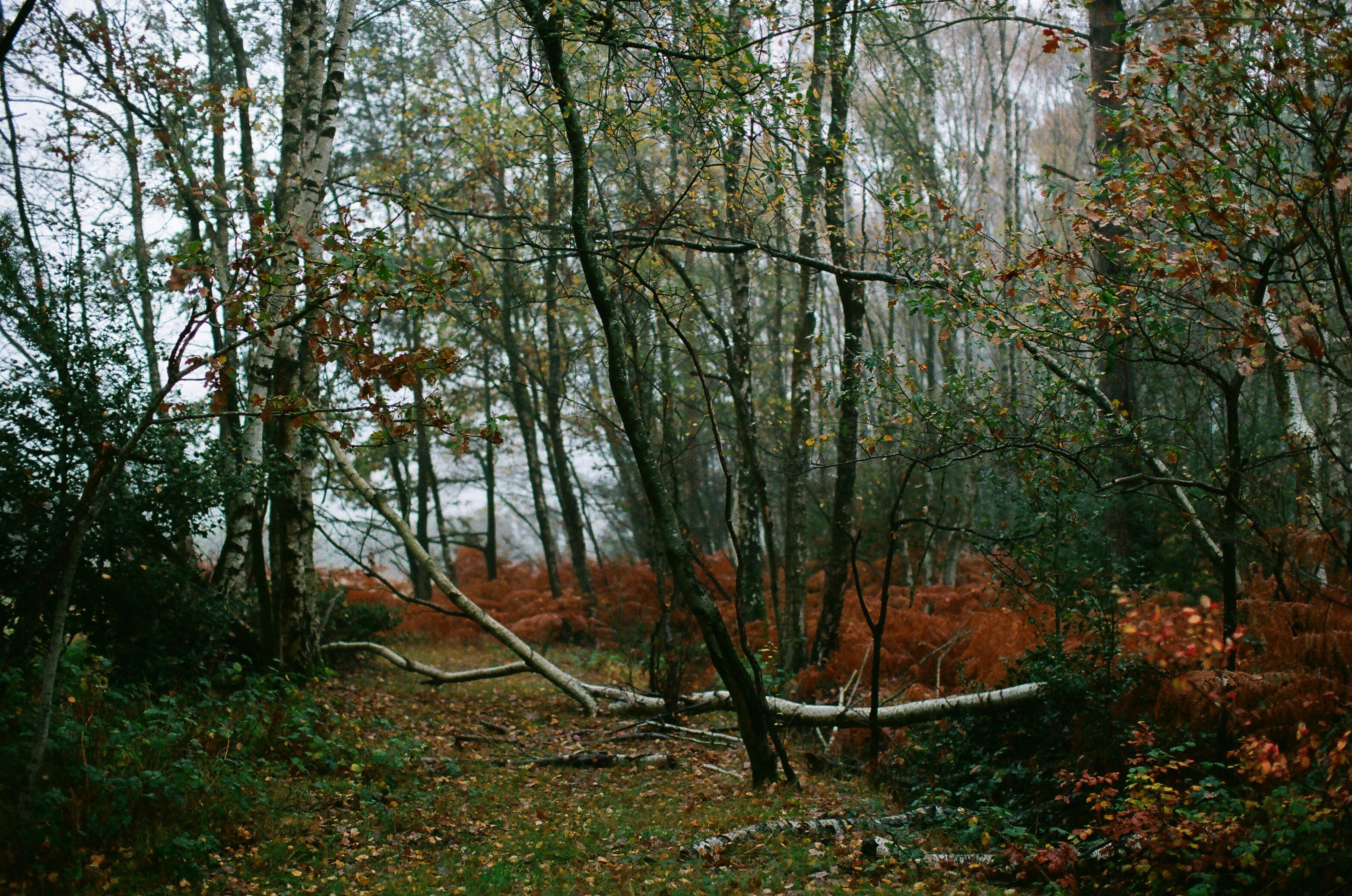 Photo by tanyabarrow