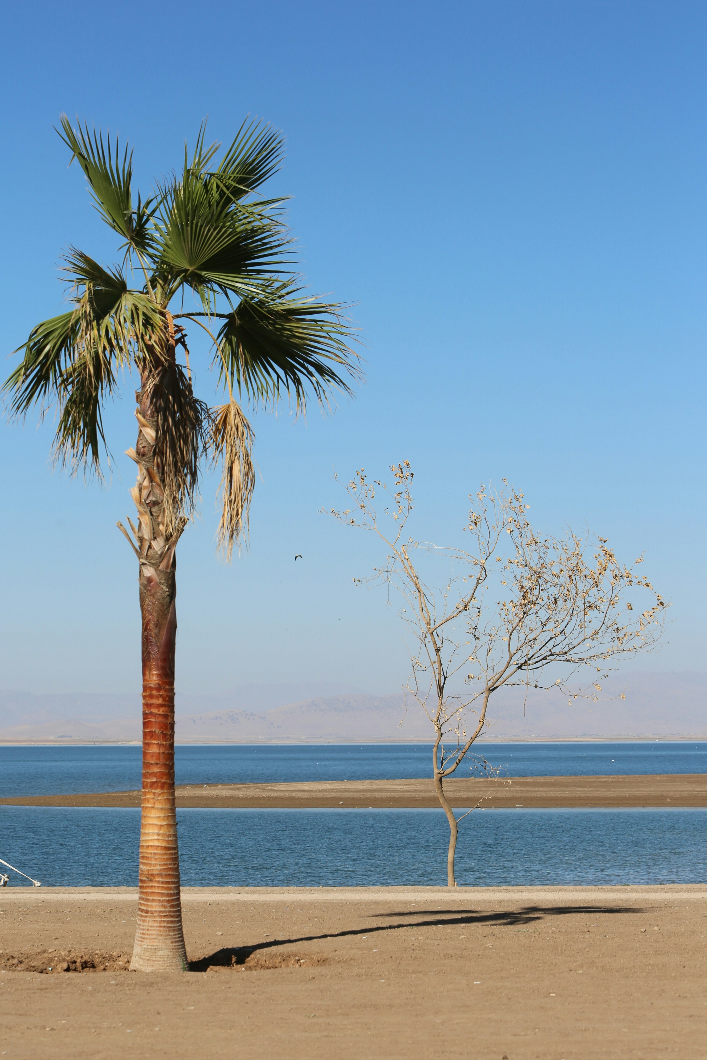 Photo by shirinkamal