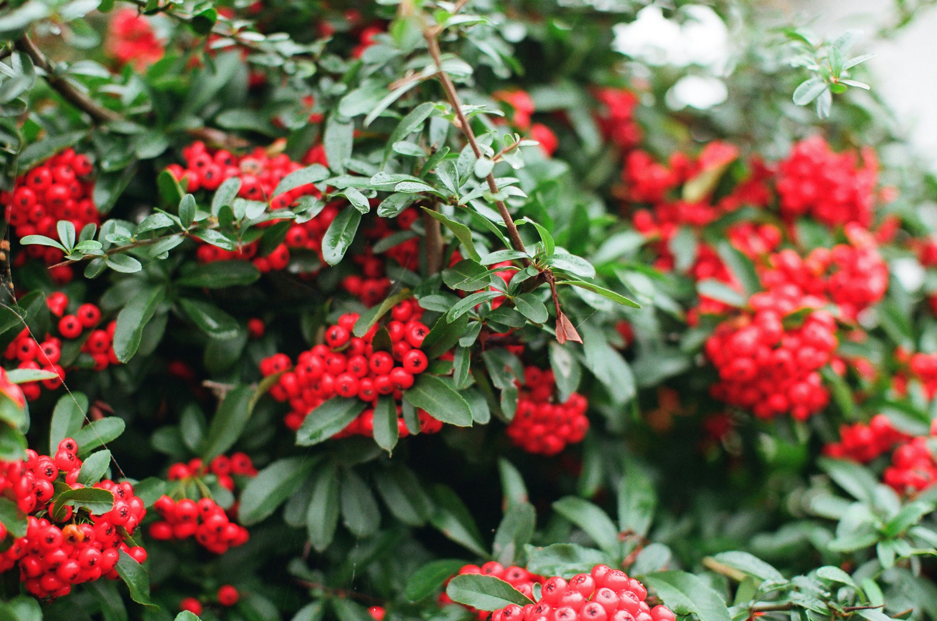 Photo by tanyabarrow