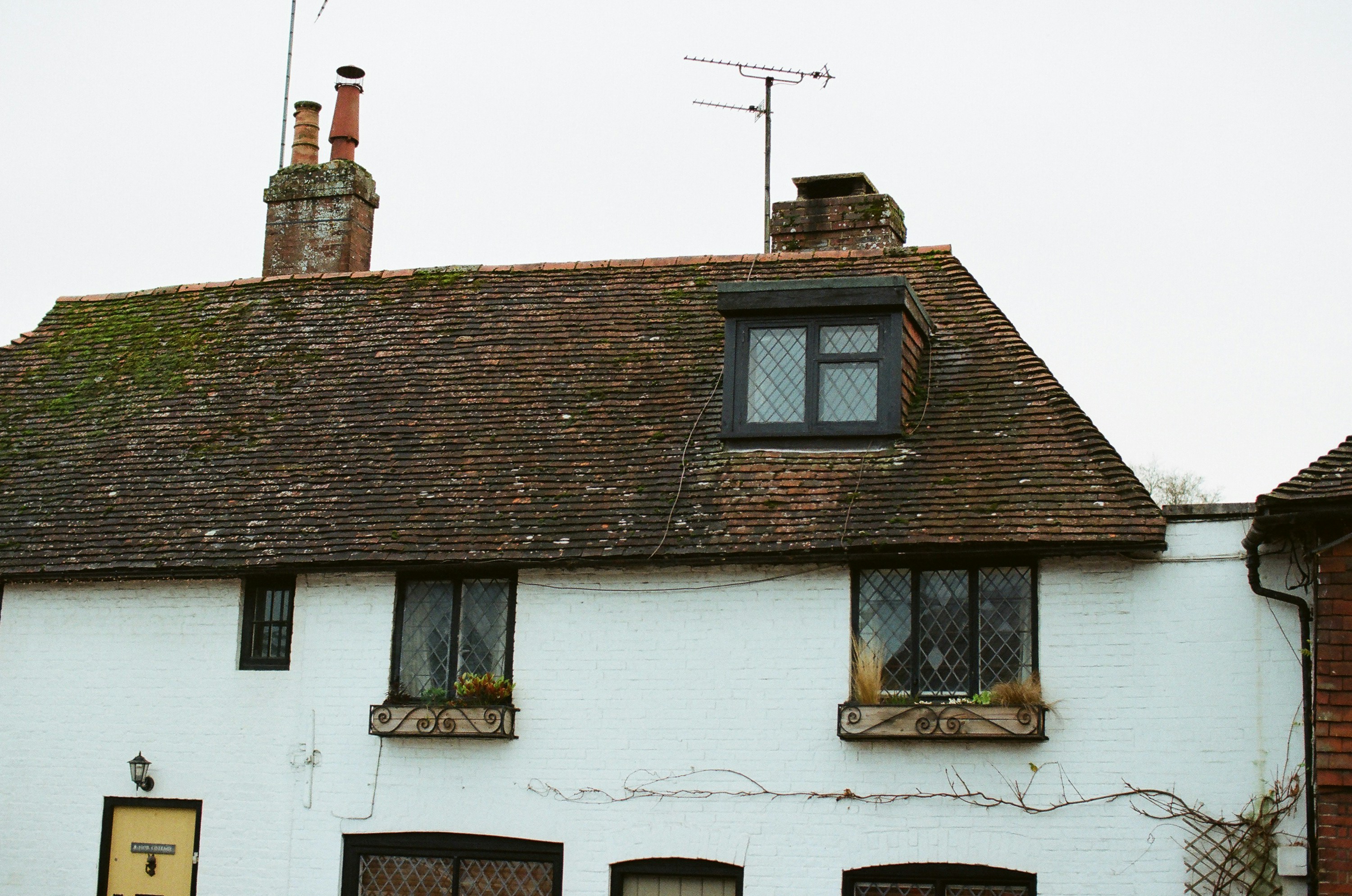 Photo by tanyabarrow