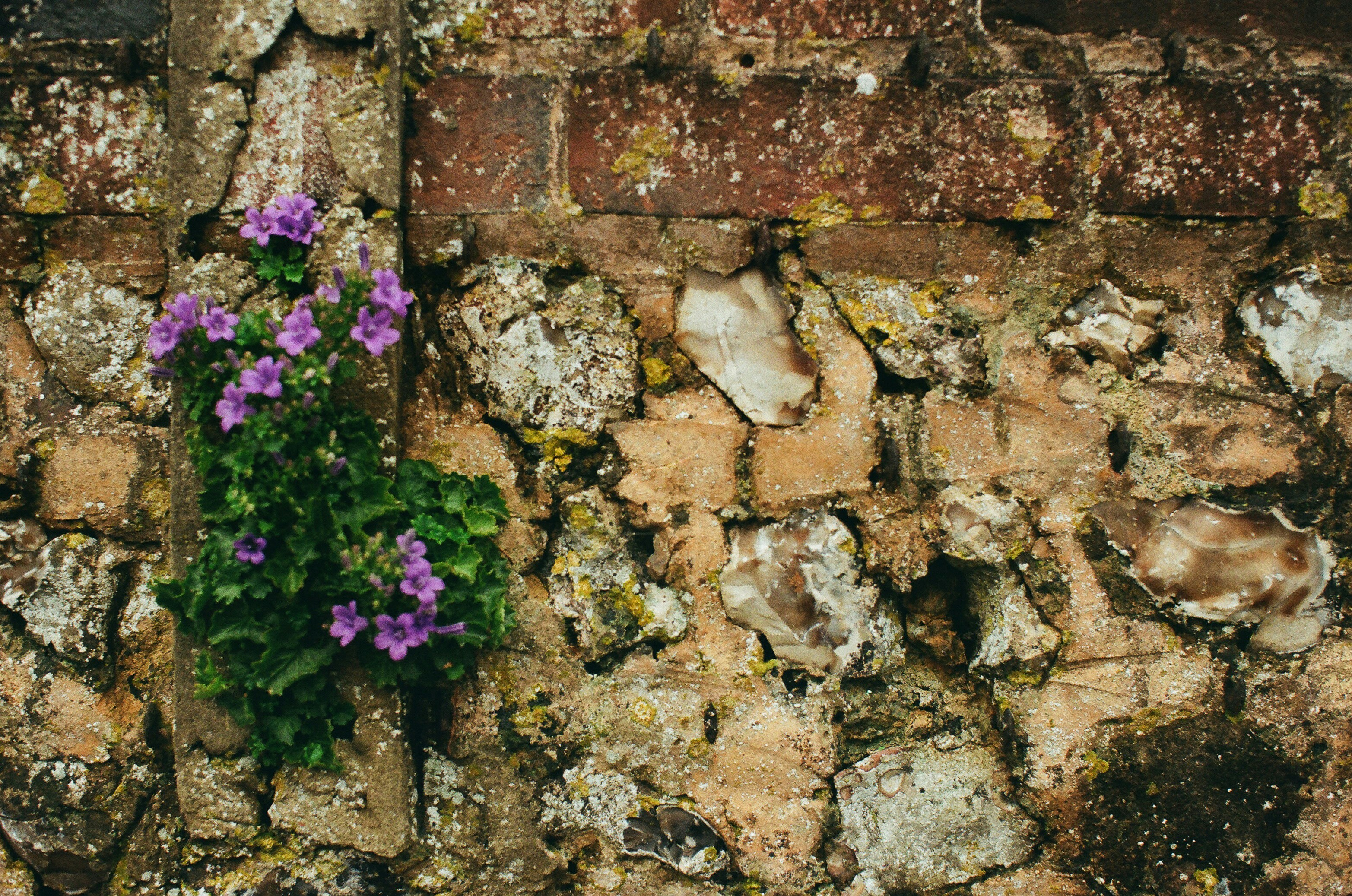 Photo by tanyabarrow