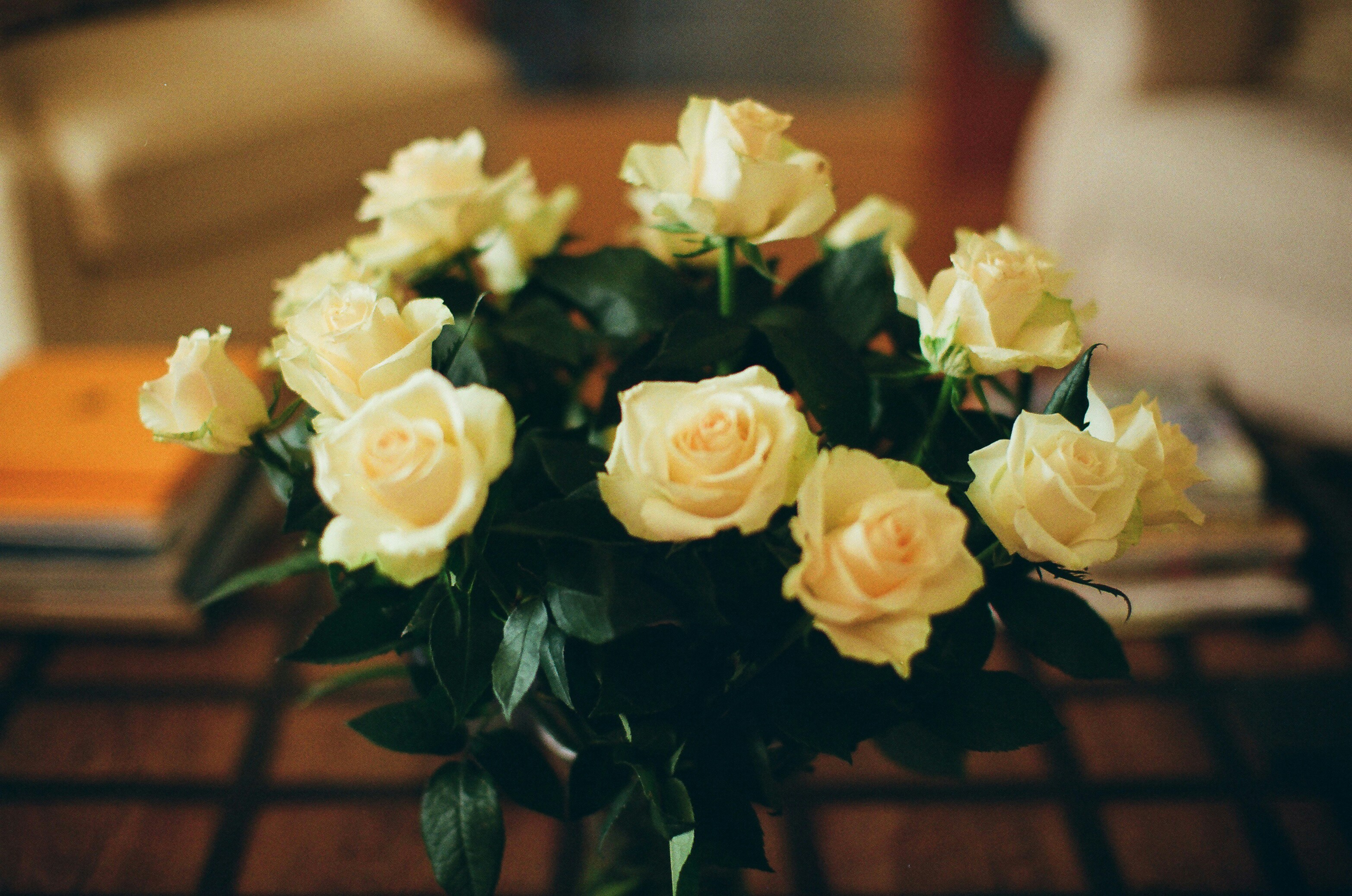 Photo by tanyabarrow