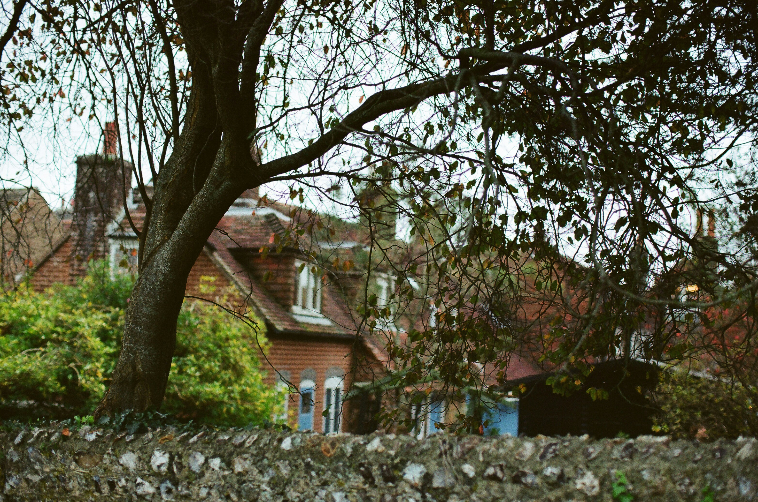 Photo by tanyabarrow