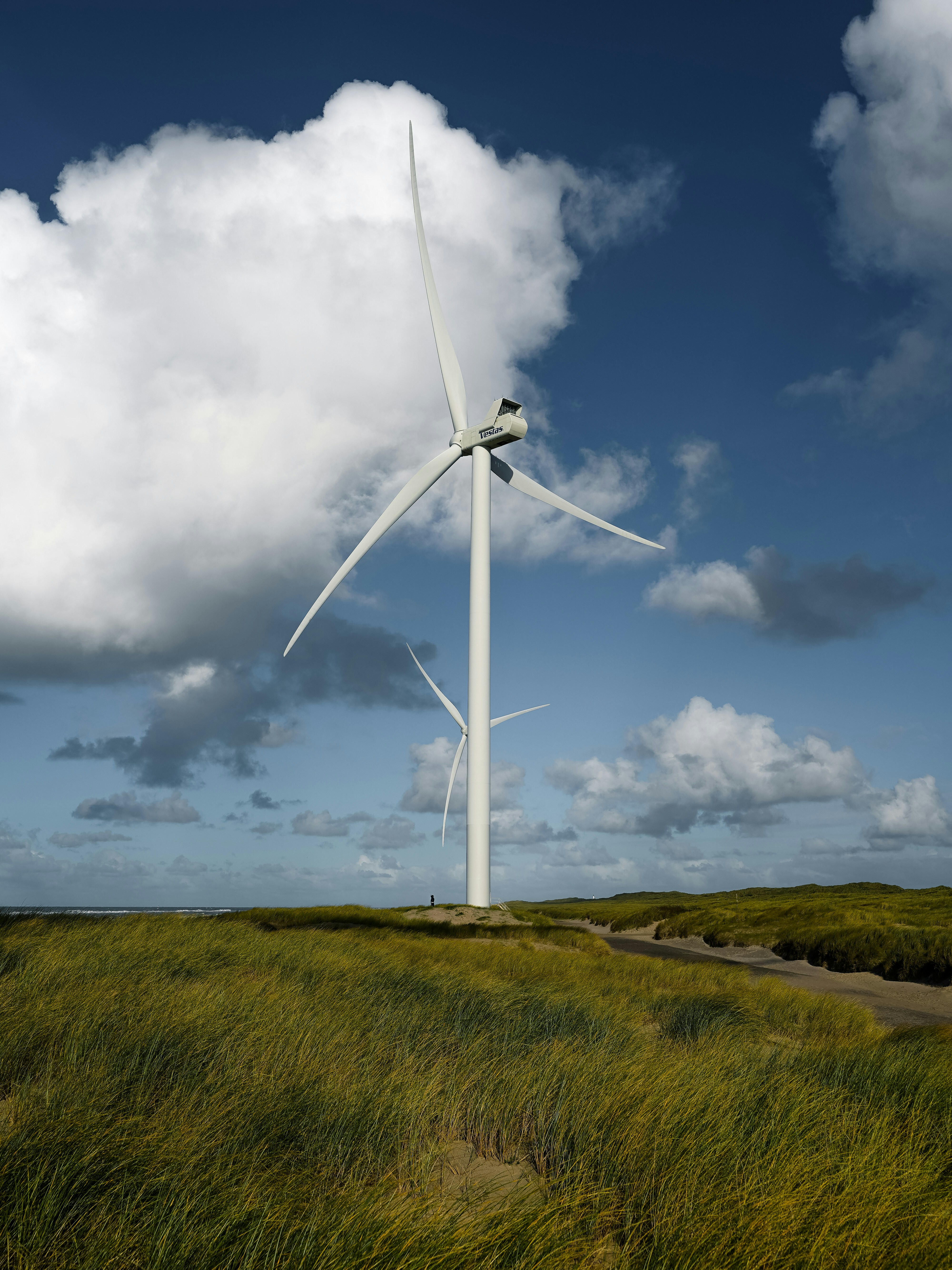 Photo by hamburgmeinefreundin