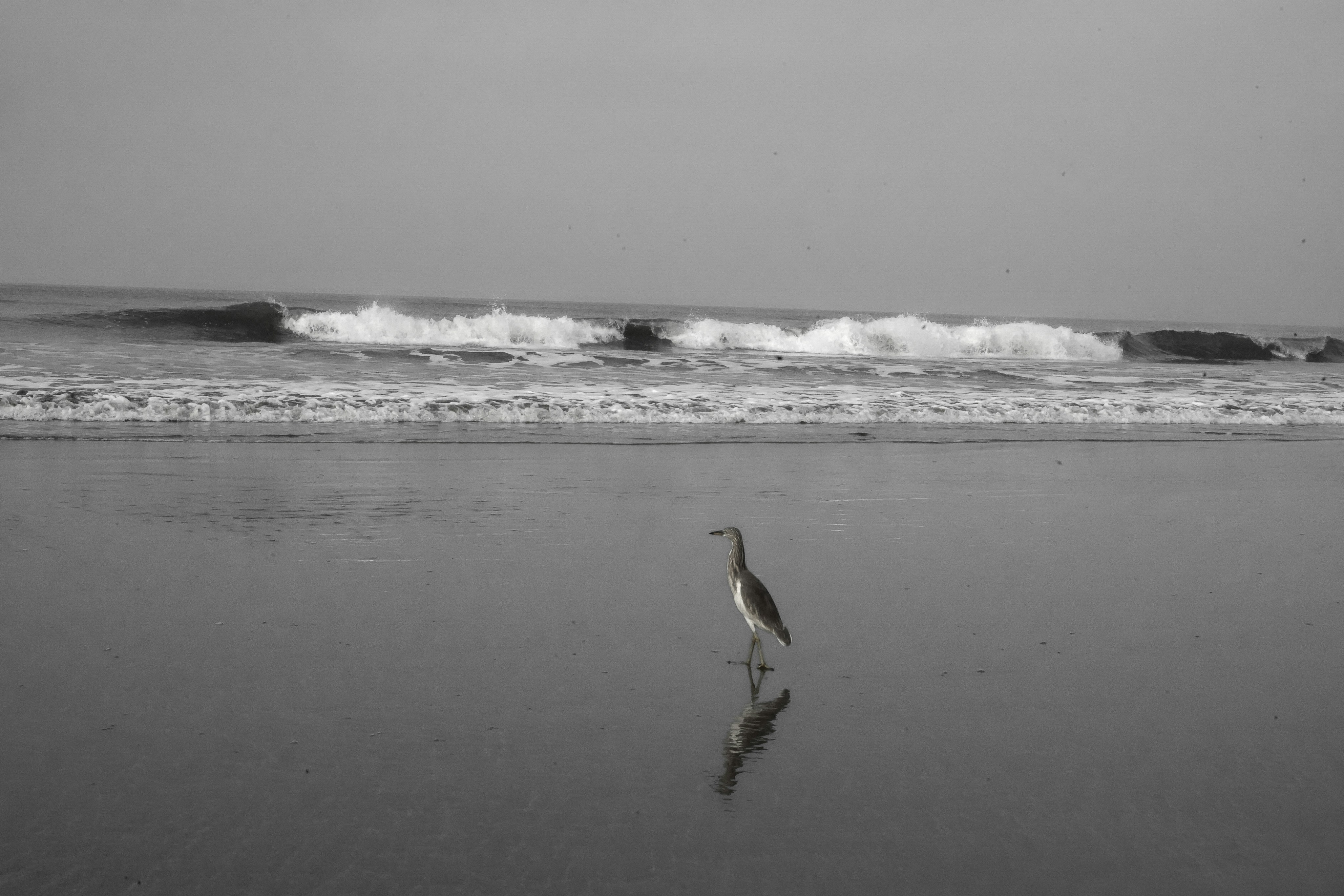 Photo by prakashraophotography