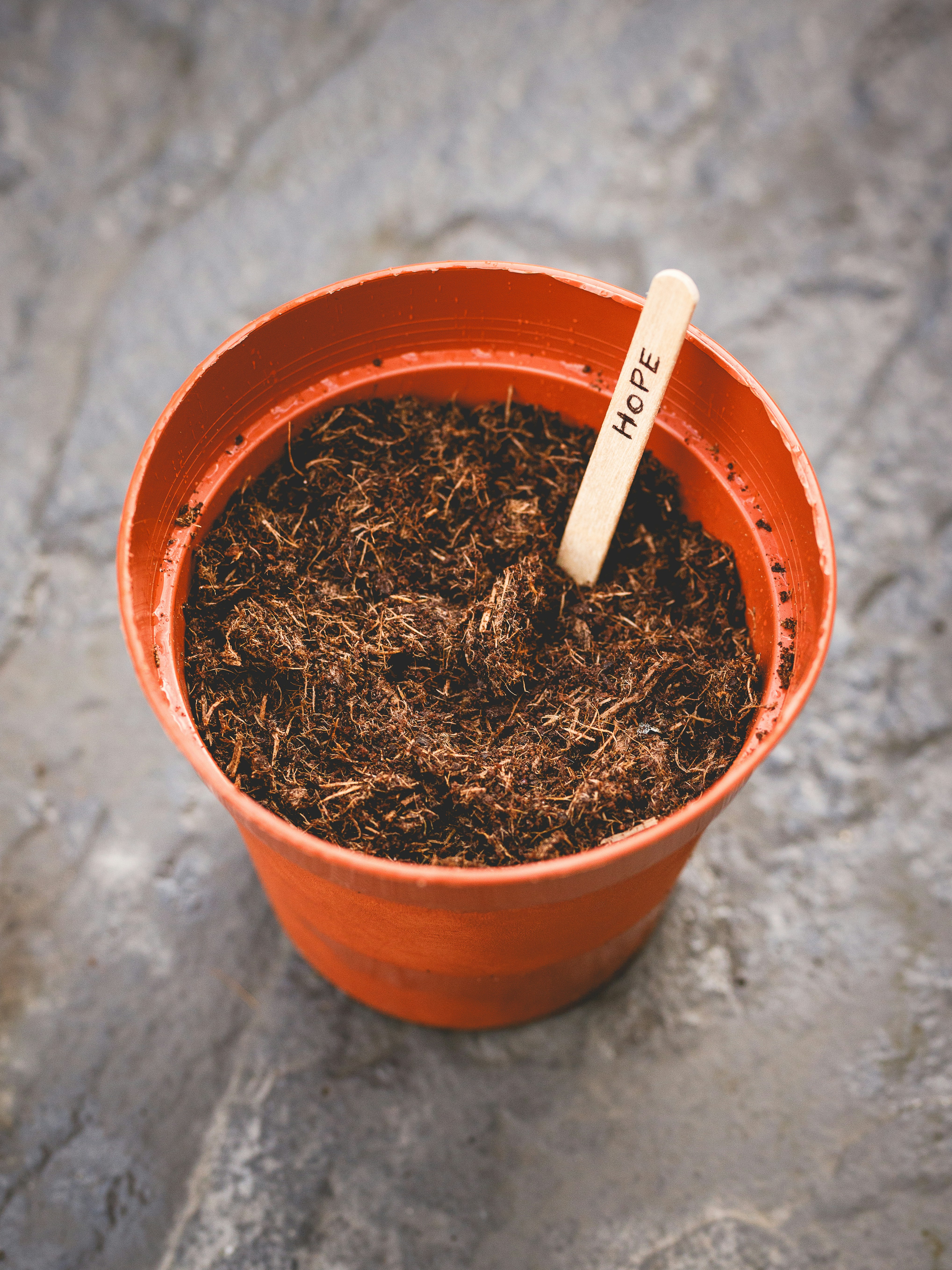 A small plant pot with soil and a "hope" marker.