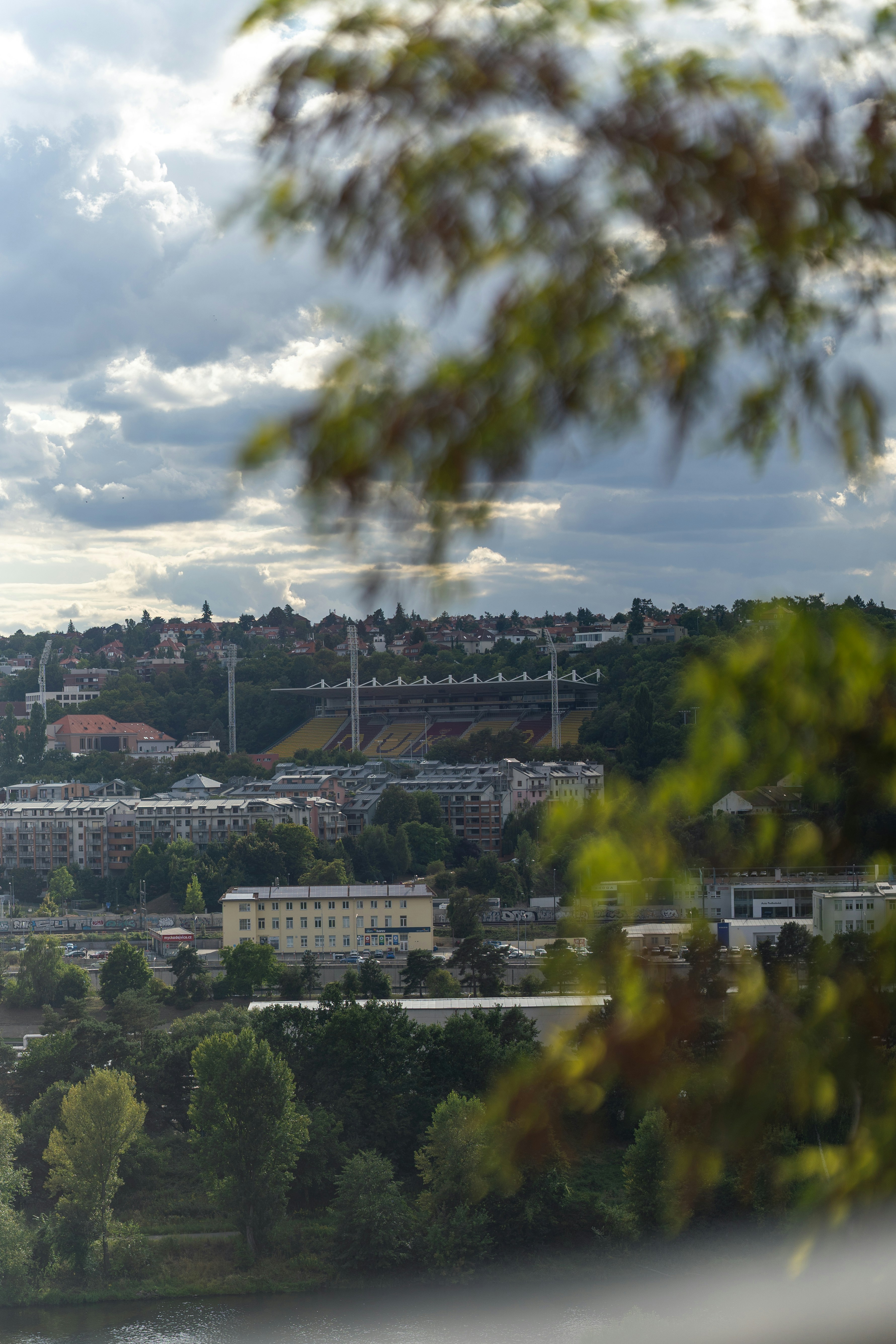 Cityscape with stadium seen through blurred foreground leaves.