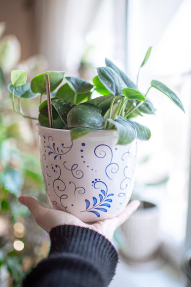 Large Indoor Plant White Planter in Minimalist Home Decor 2026