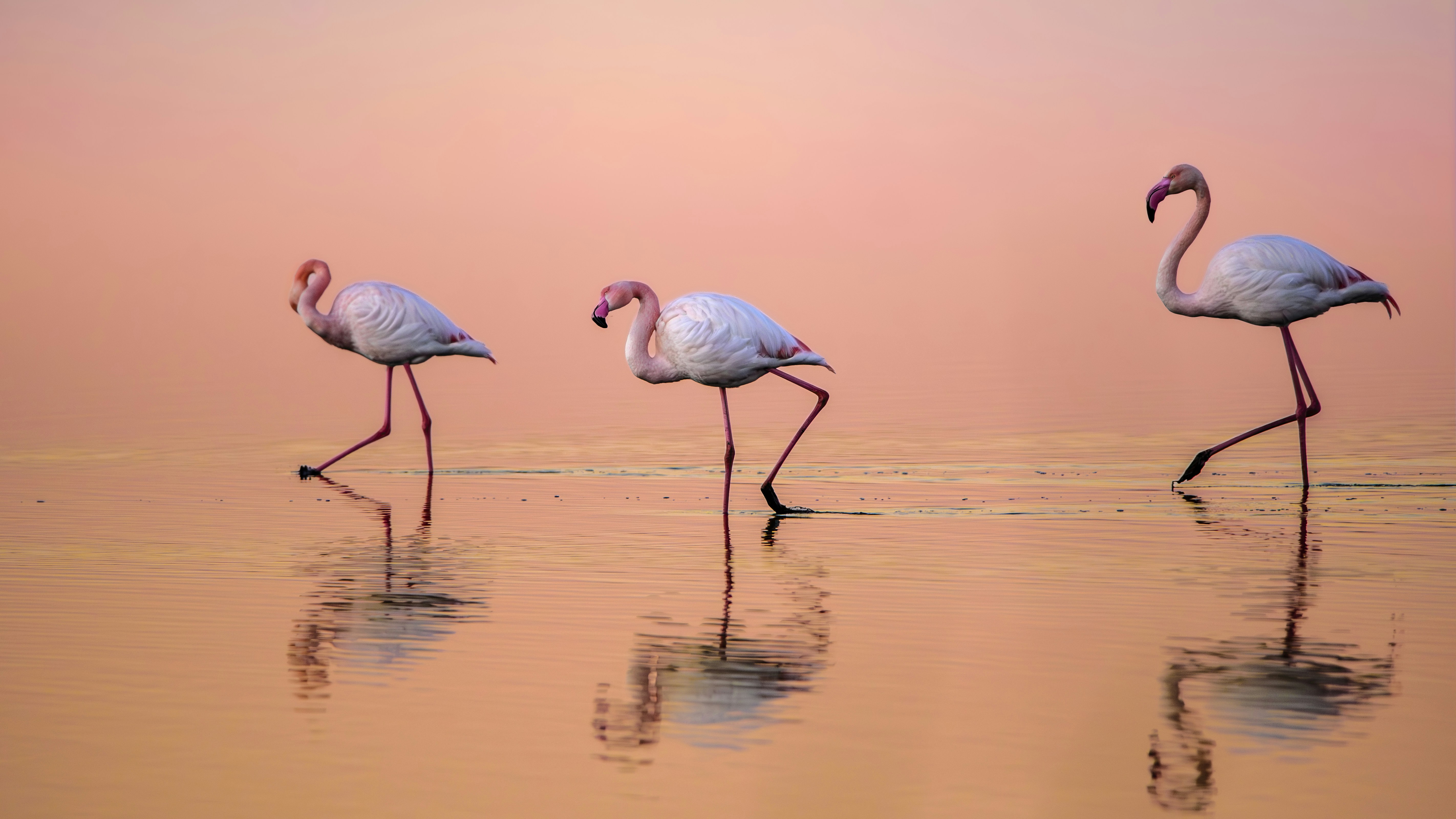 เว็บไซต์ตรงสล็อต การรวมเกมพนัน หลายประเภท
