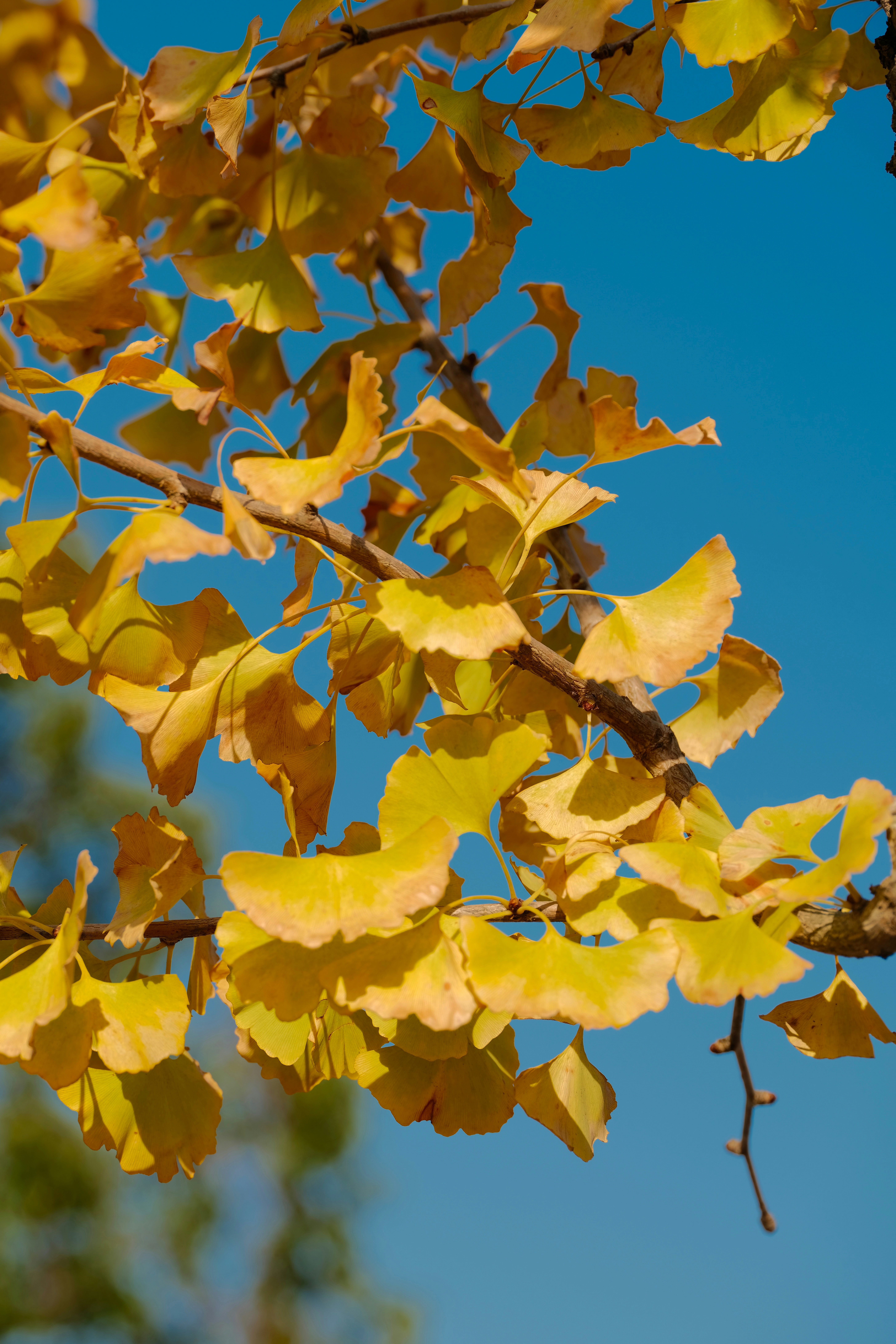 Photo by leo_gilgamesh