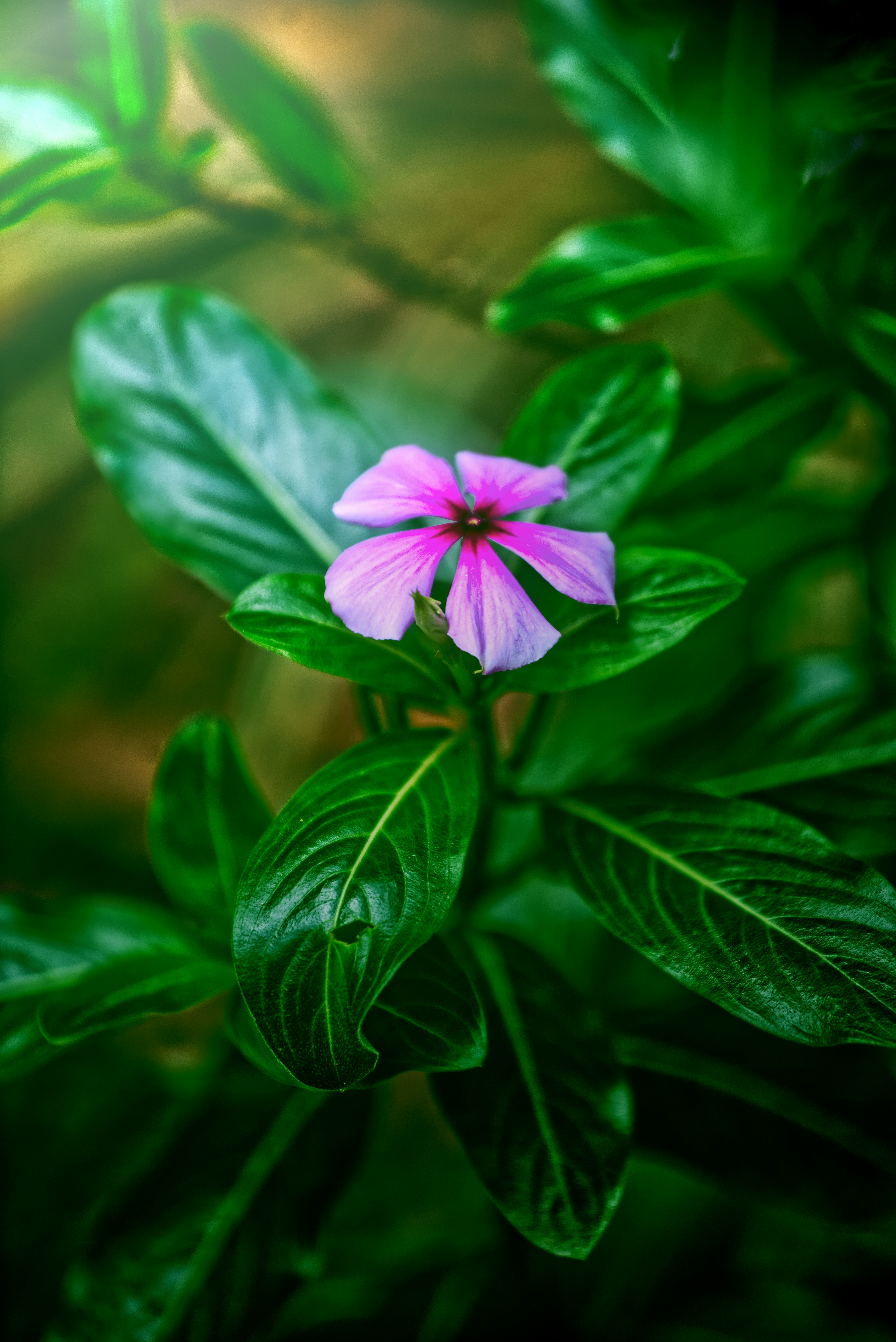 Photo by spenz_official