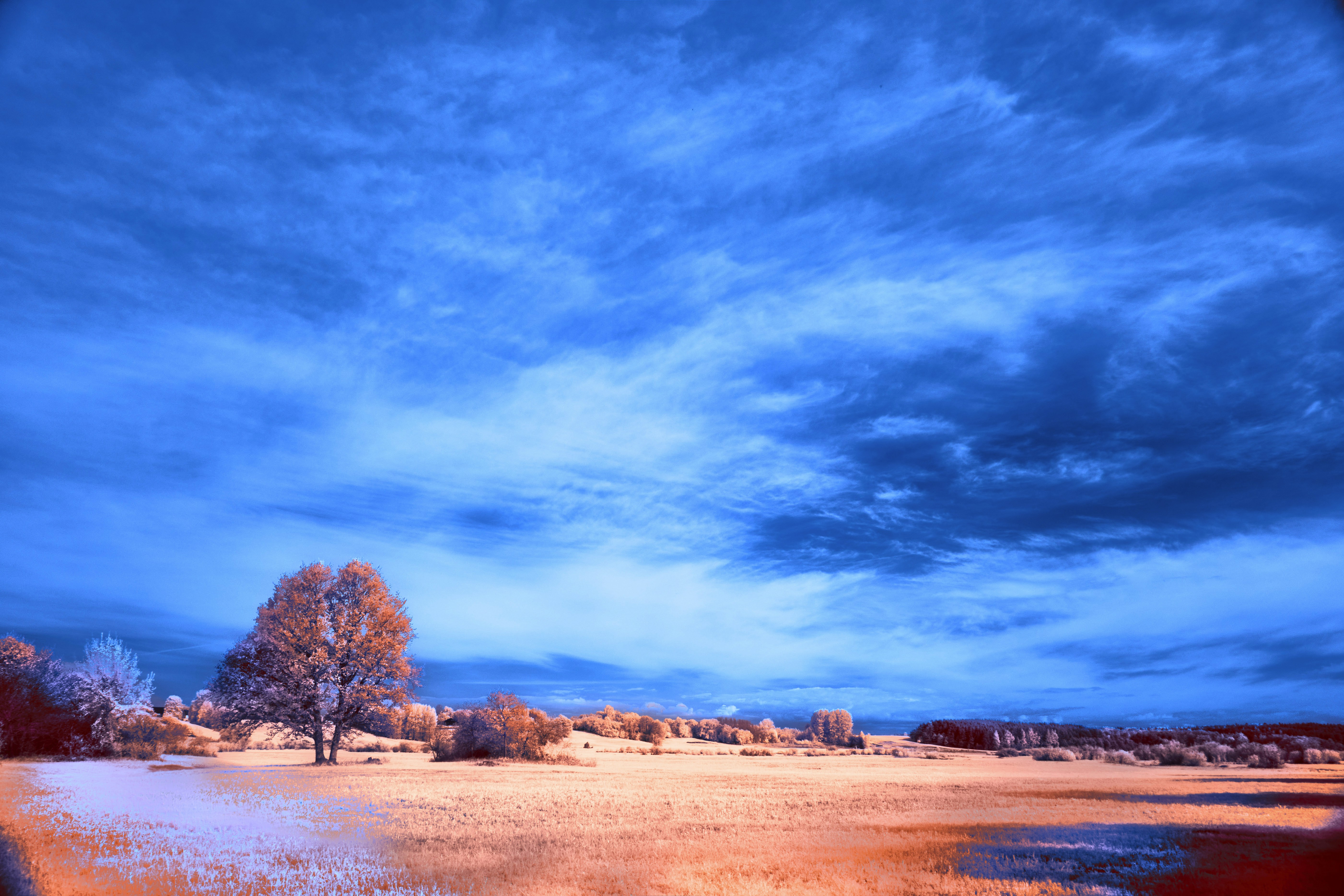 Vibrant landscape with surreal blue sky and orange earth.