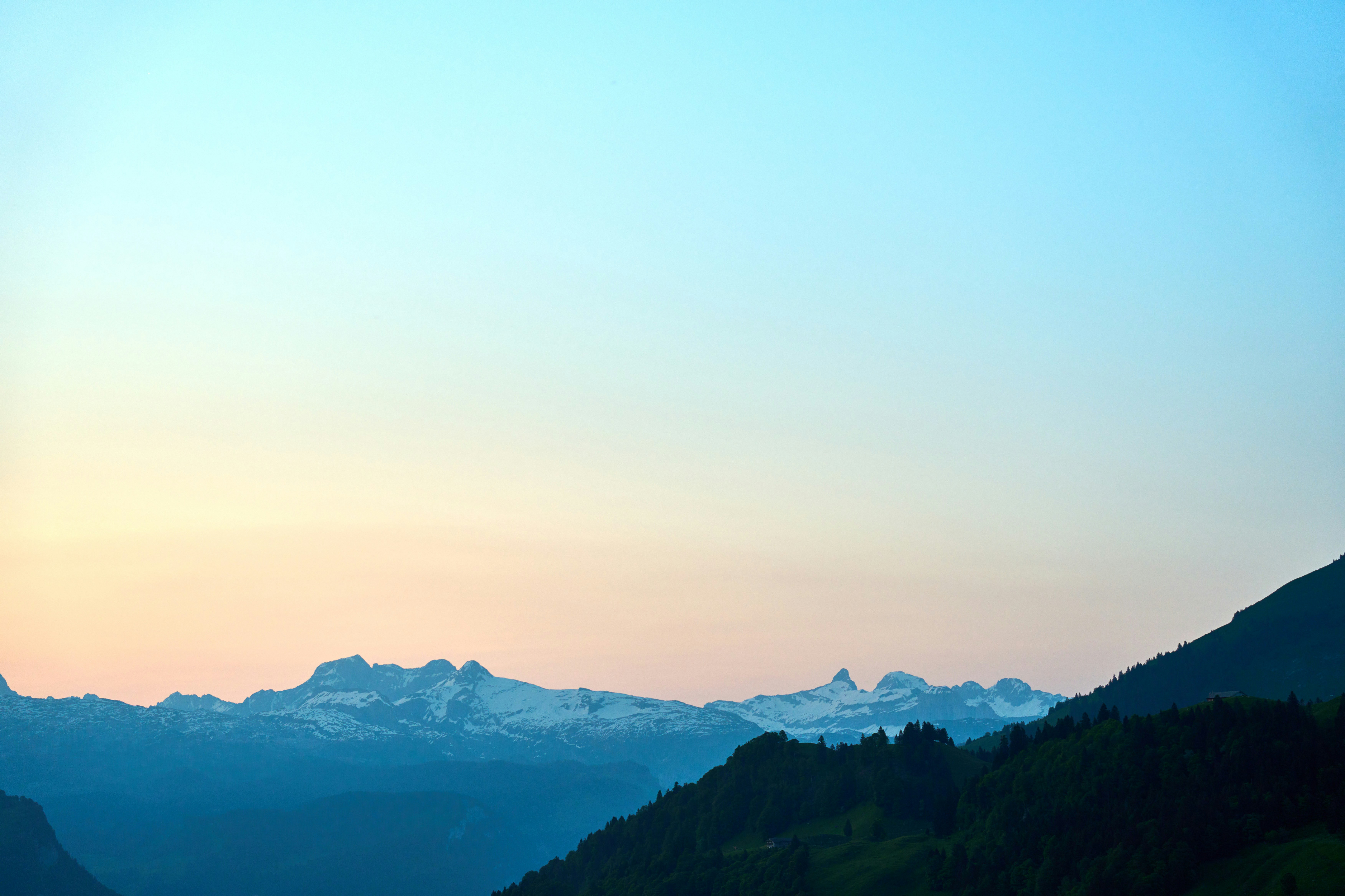 Photo by wolfgang_hasselmann