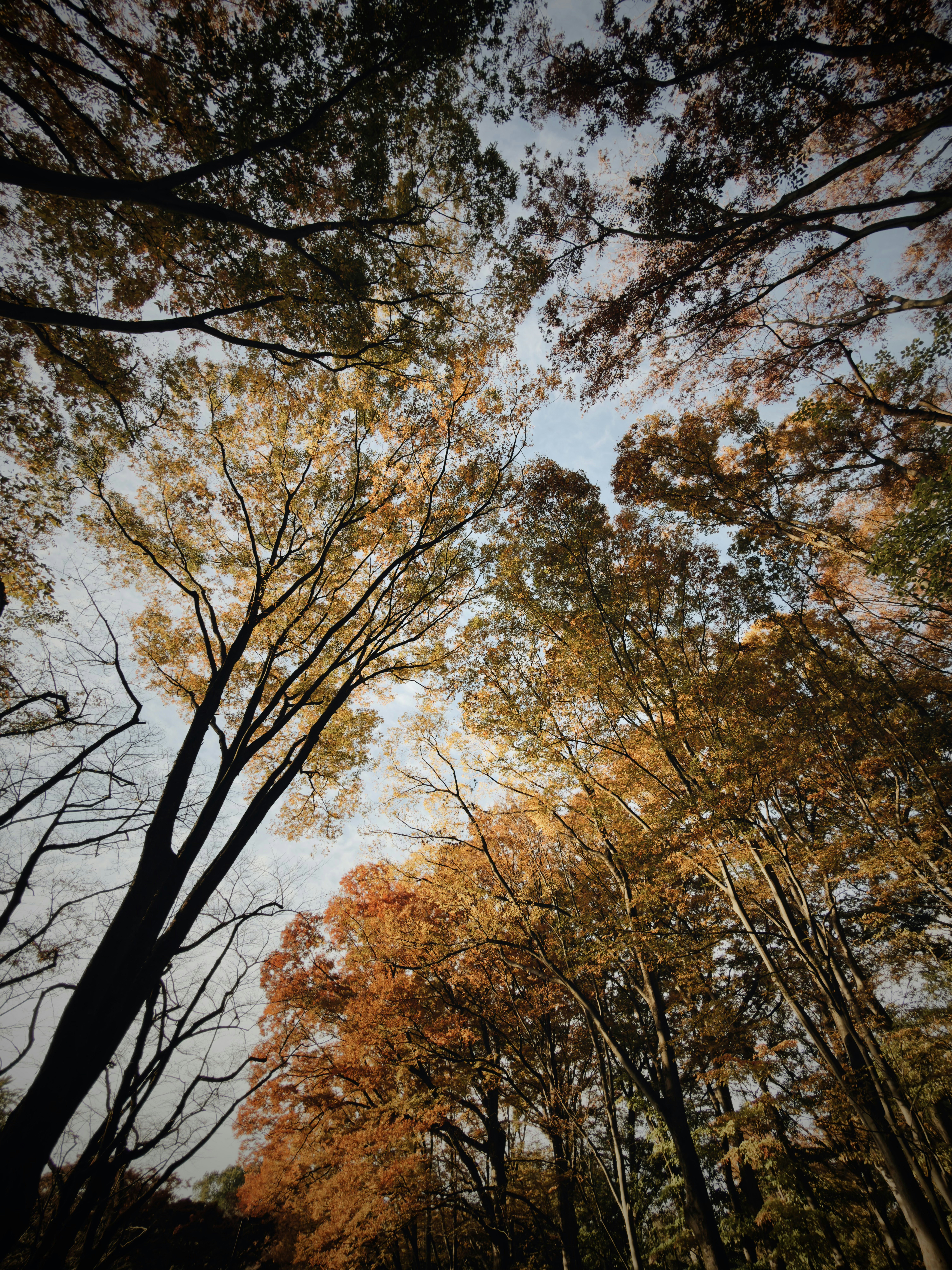 Photo by juniperphoton