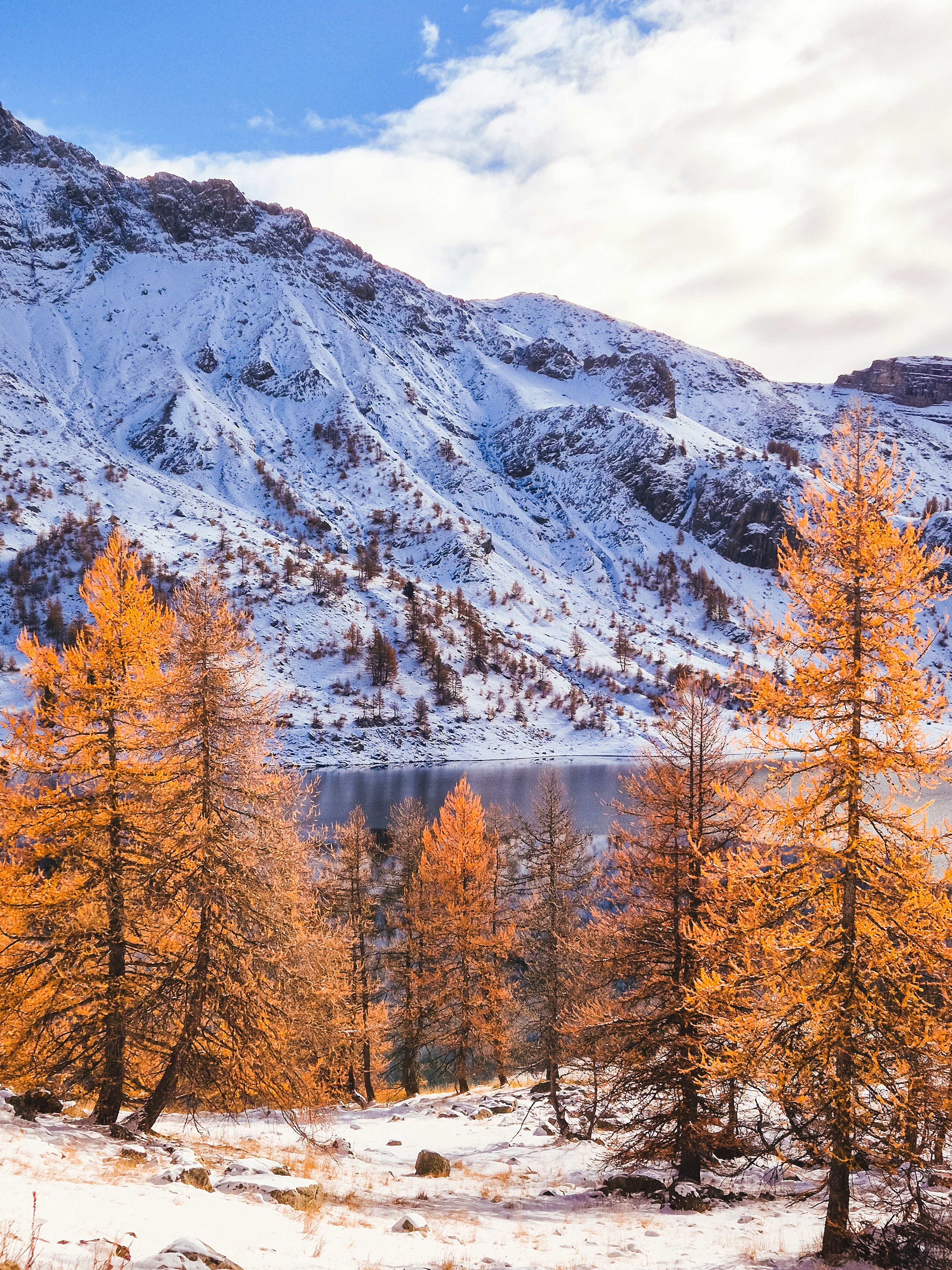 Autumn trees with snow-capped mountains and lake