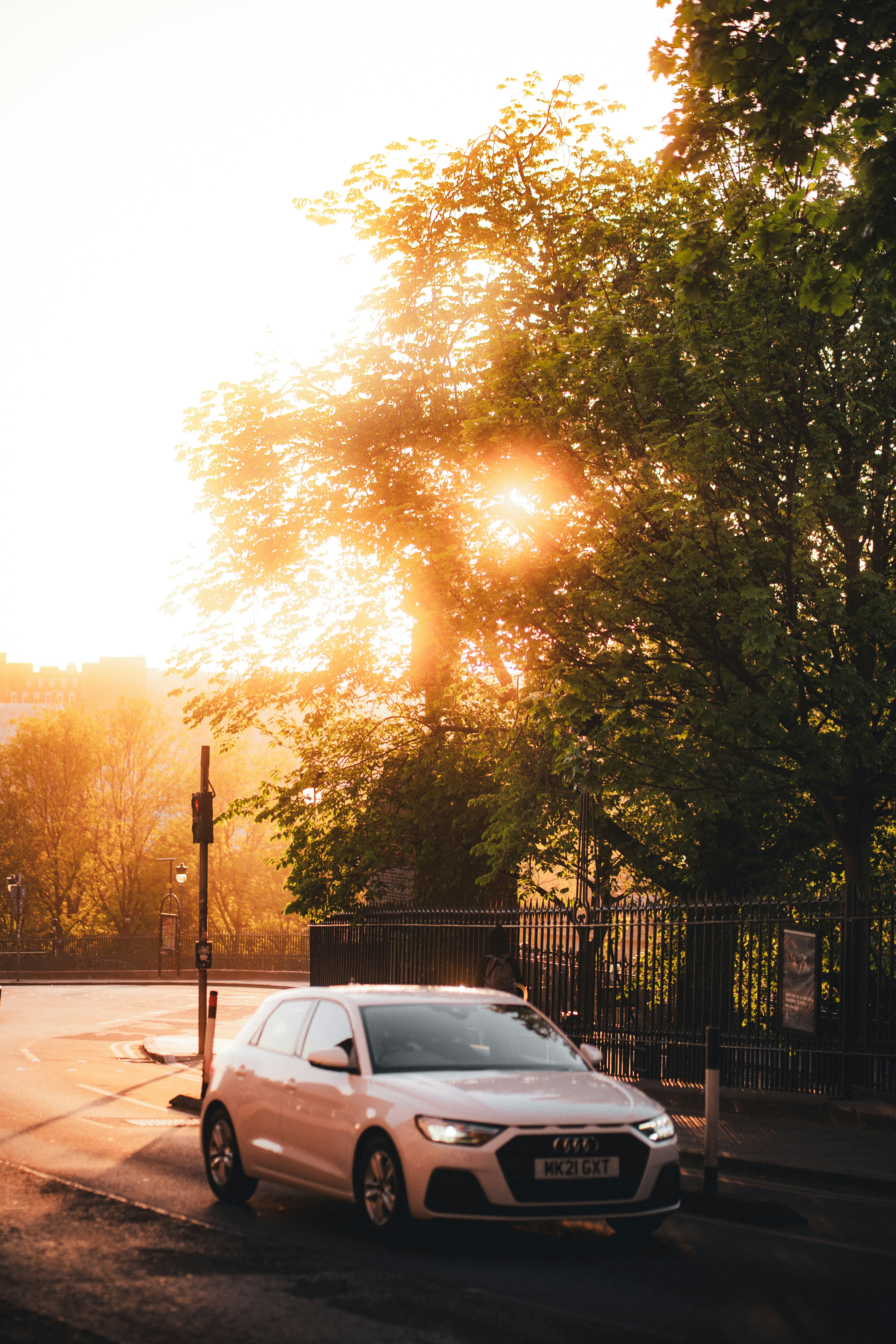White car parked under a sunlit tree