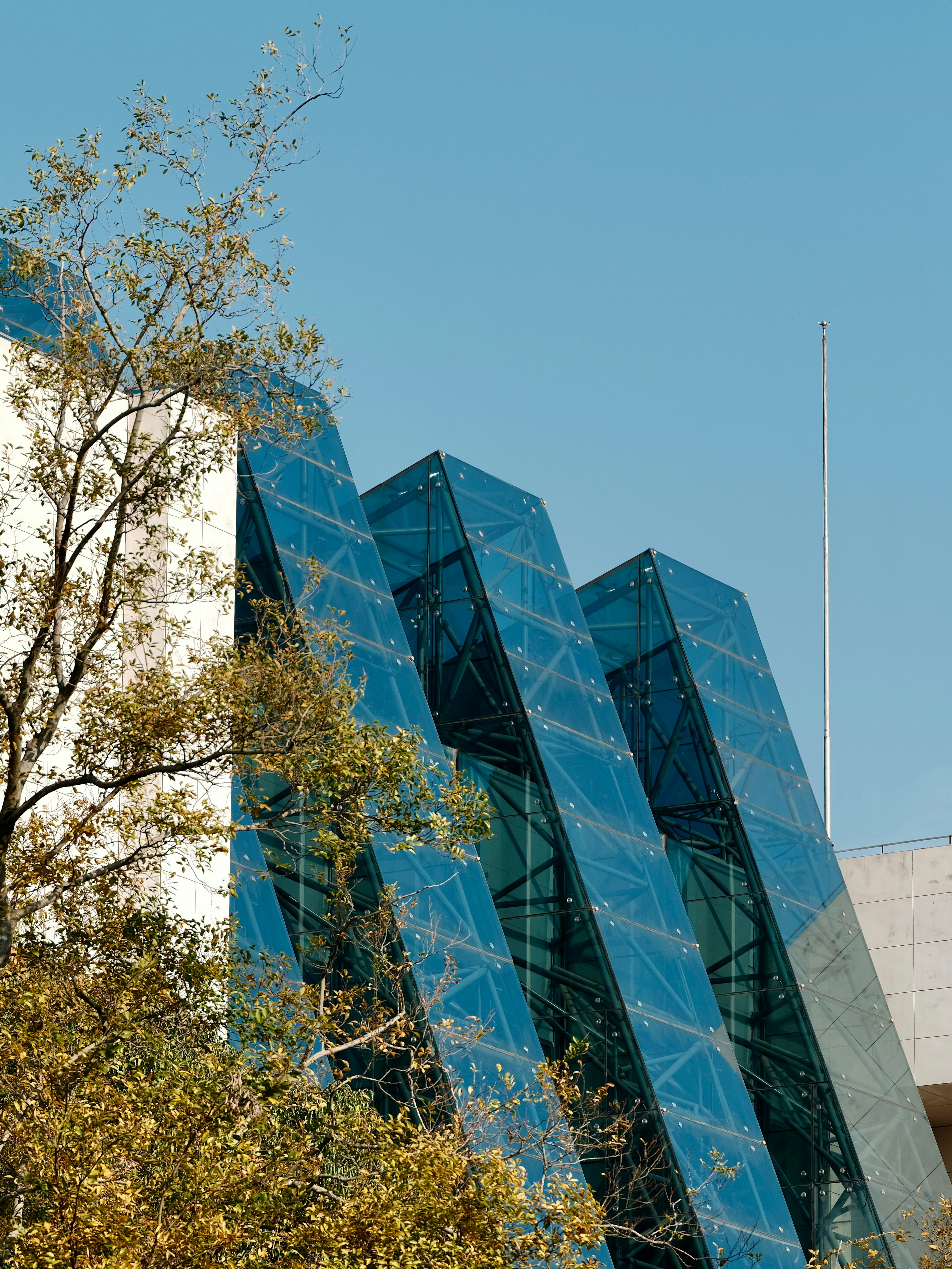 Photo by leo_gilgamesh