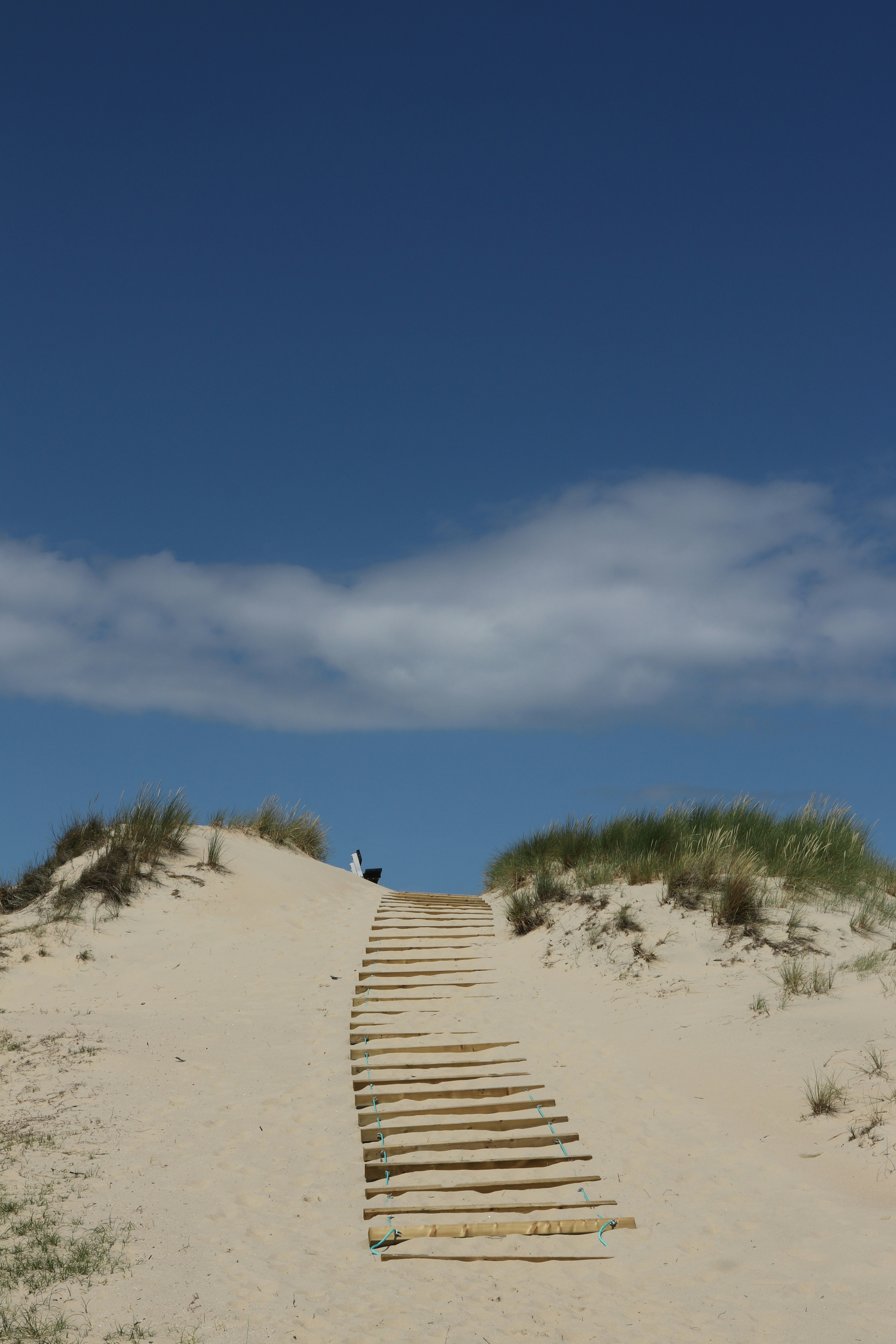 Photo by christoph_68