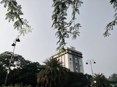 Building seen through green leaves and trees.