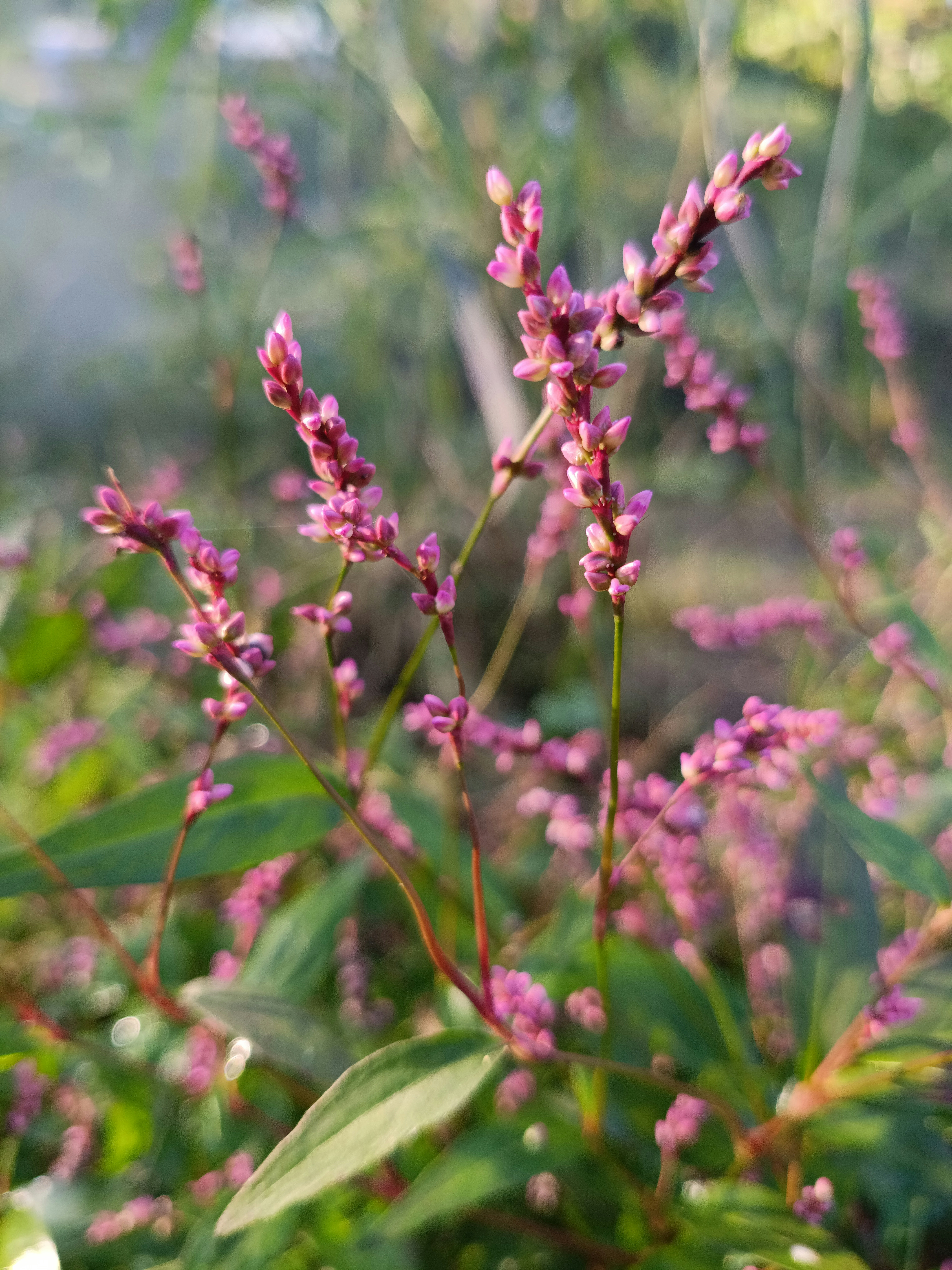 Photo by pr_abhishek