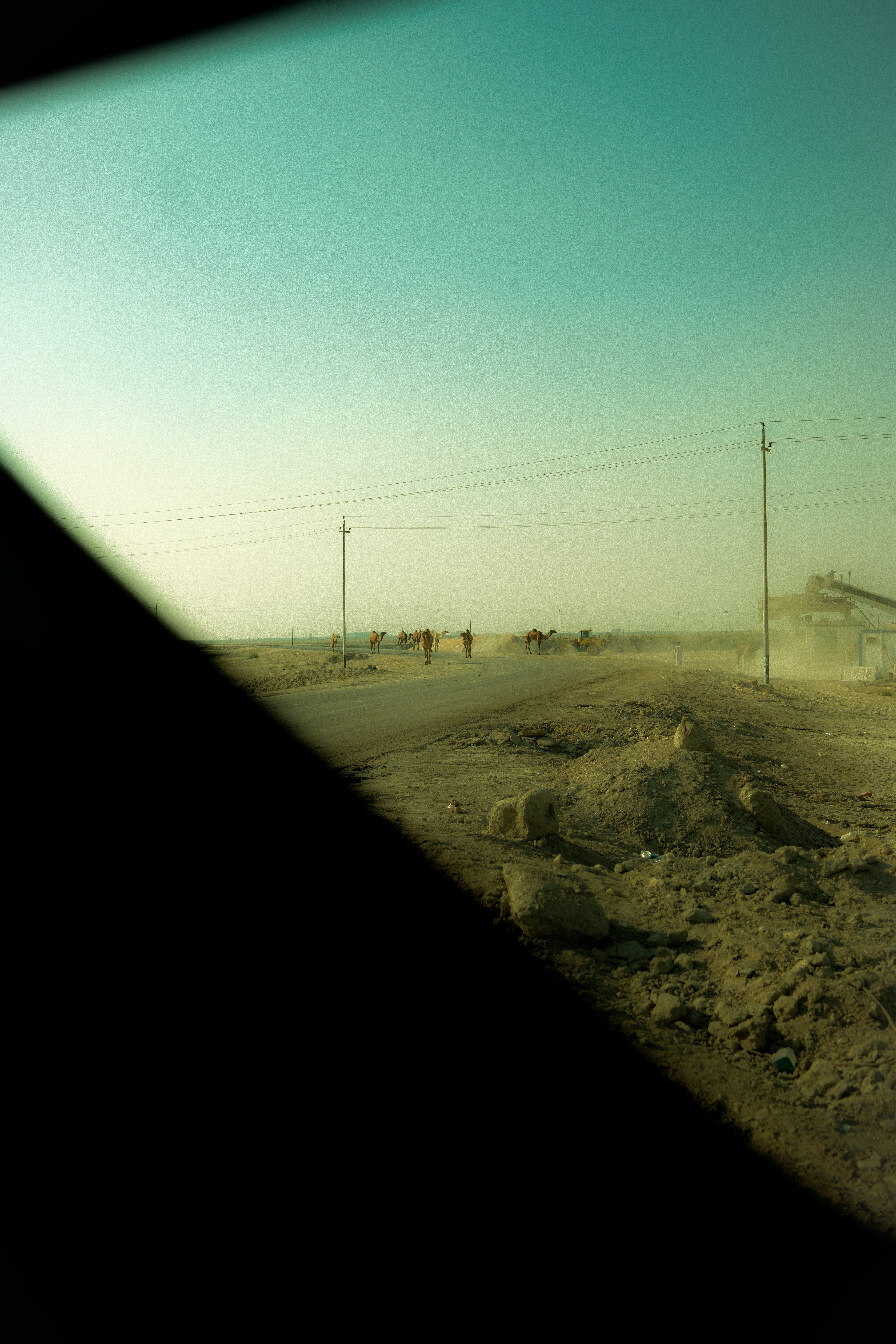 Photo by mrgreatheart