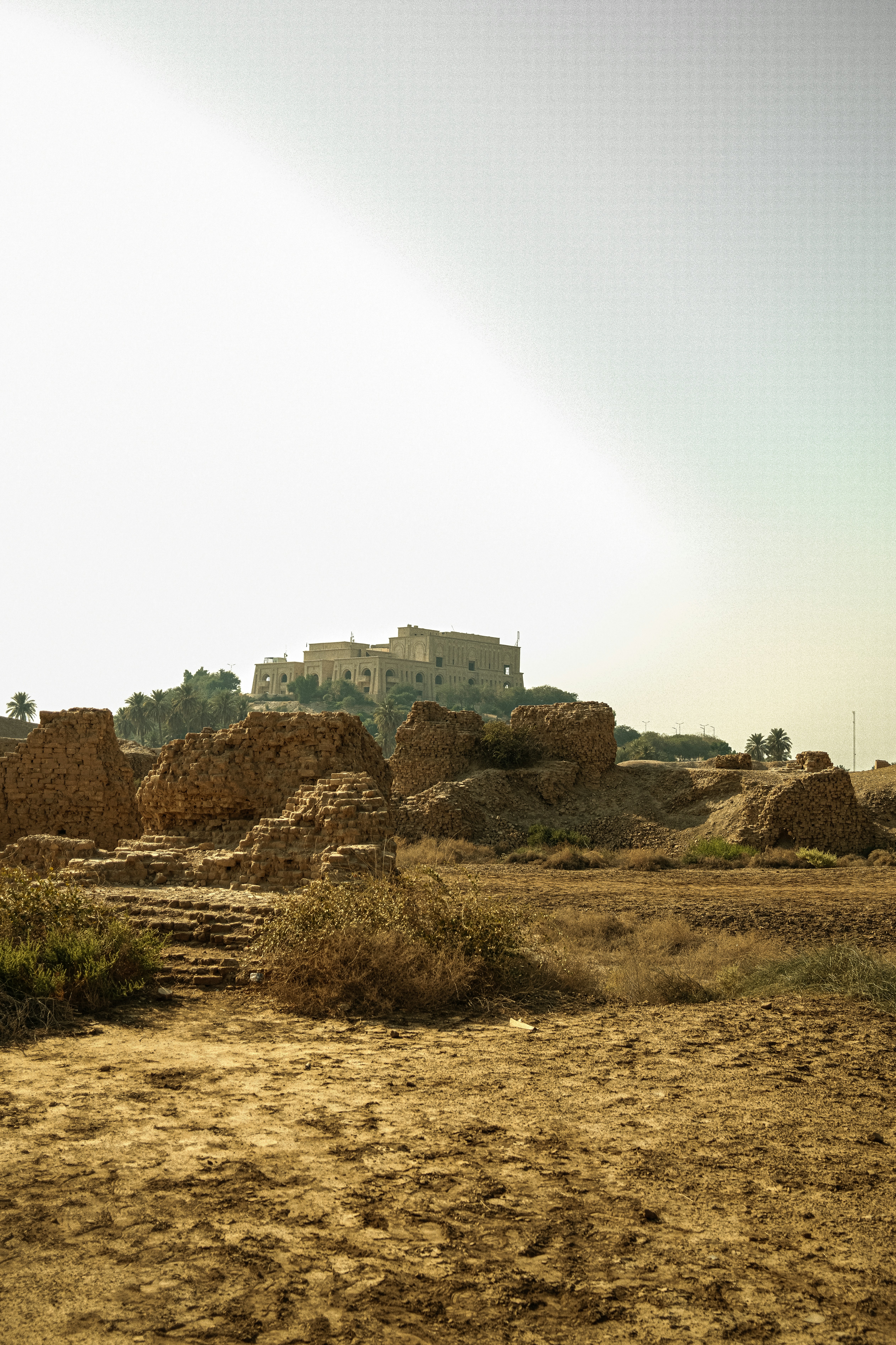 Photo by mrgreatheart