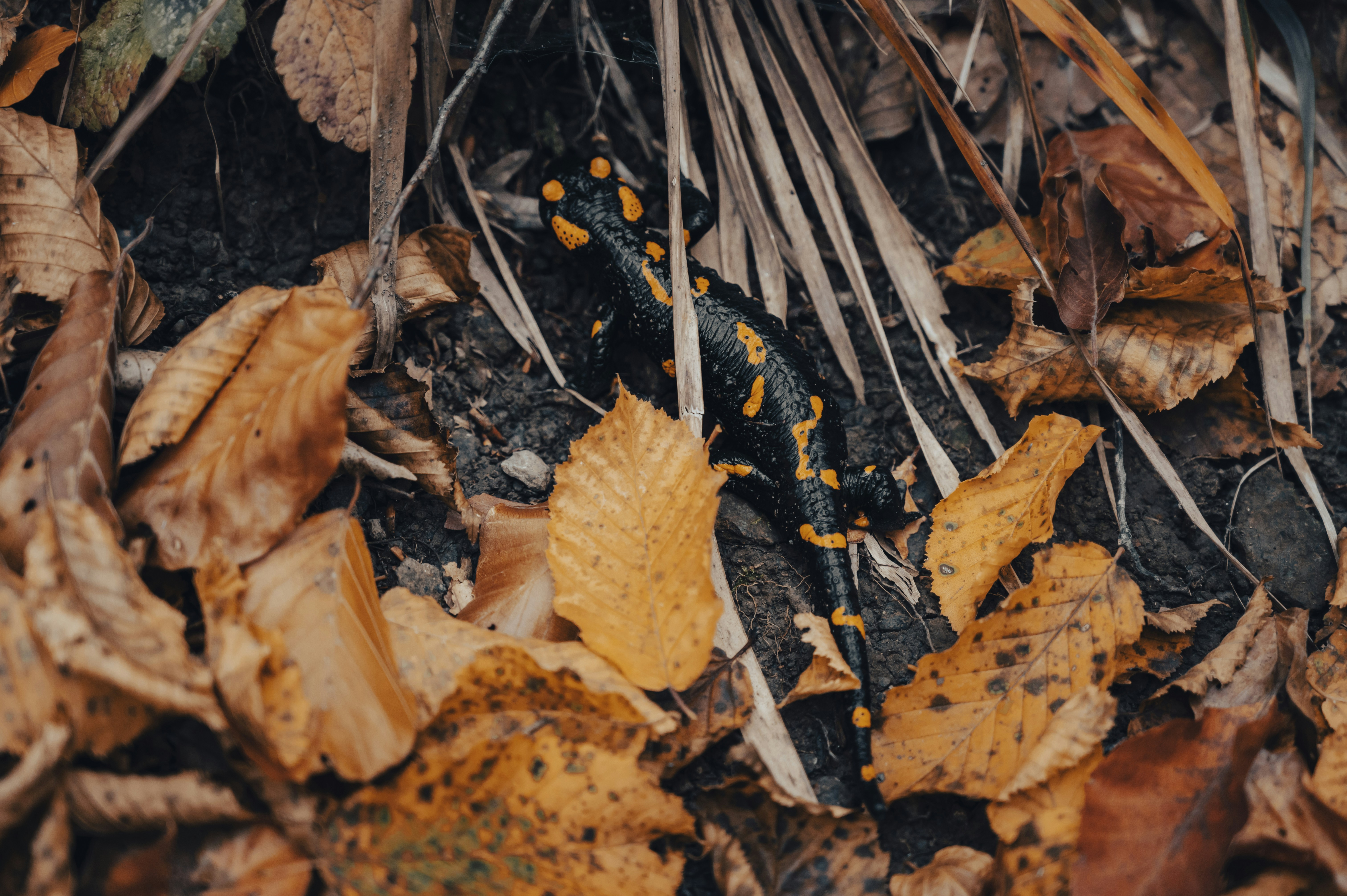 Photo by iso_excited