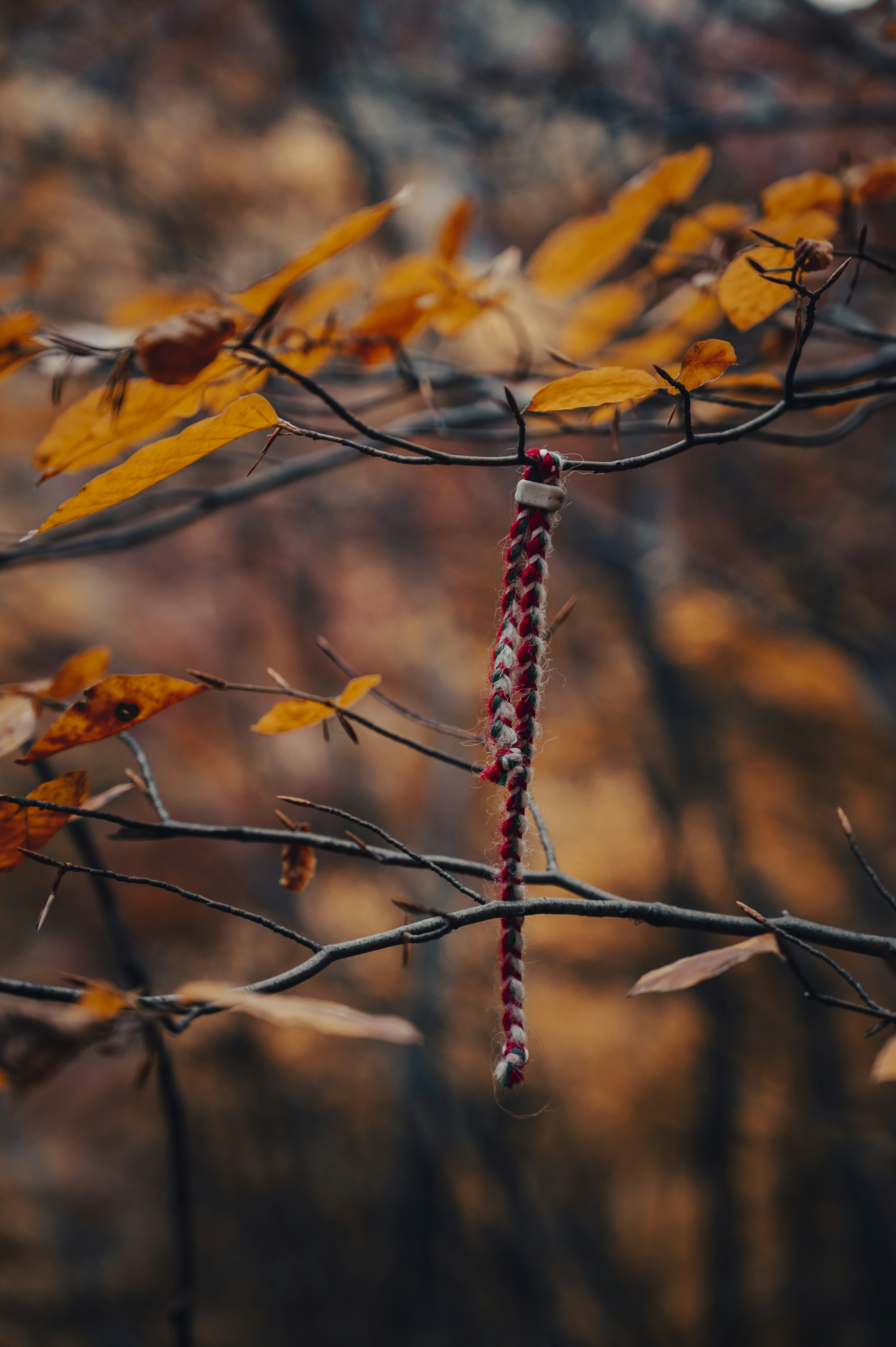 Photo by iso_excited