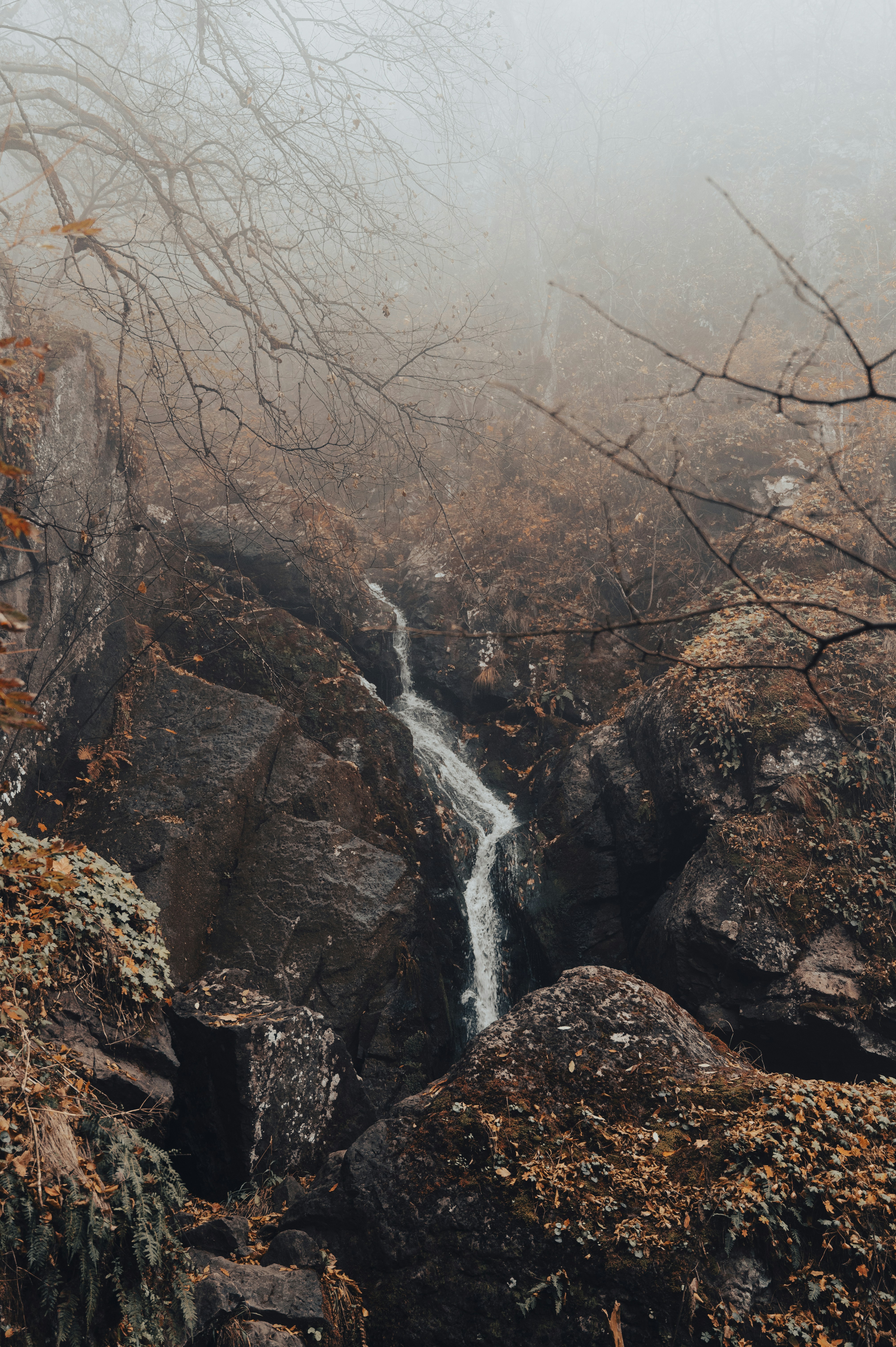 Photo by iso_excited