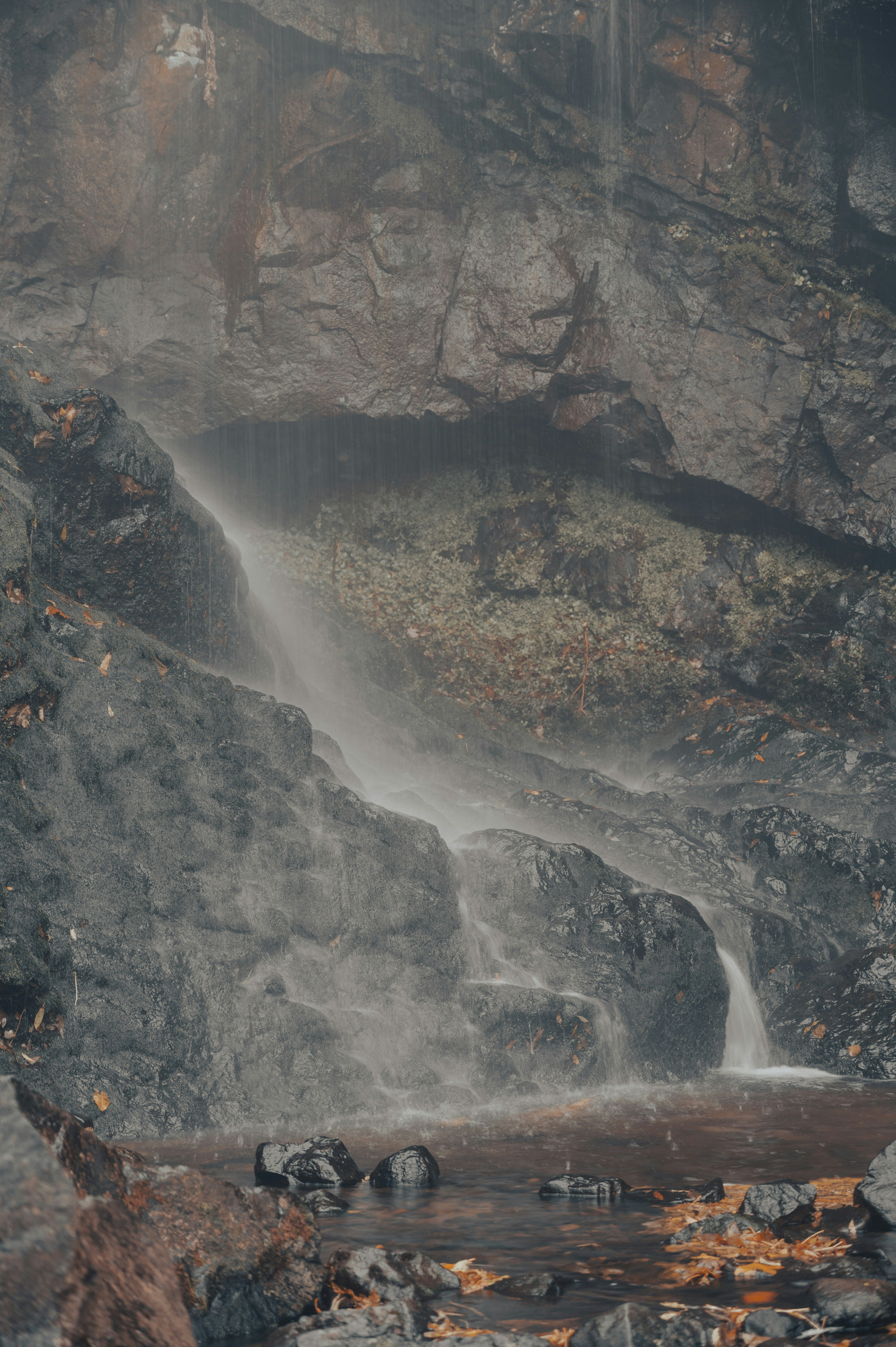 Photo by iso_excited