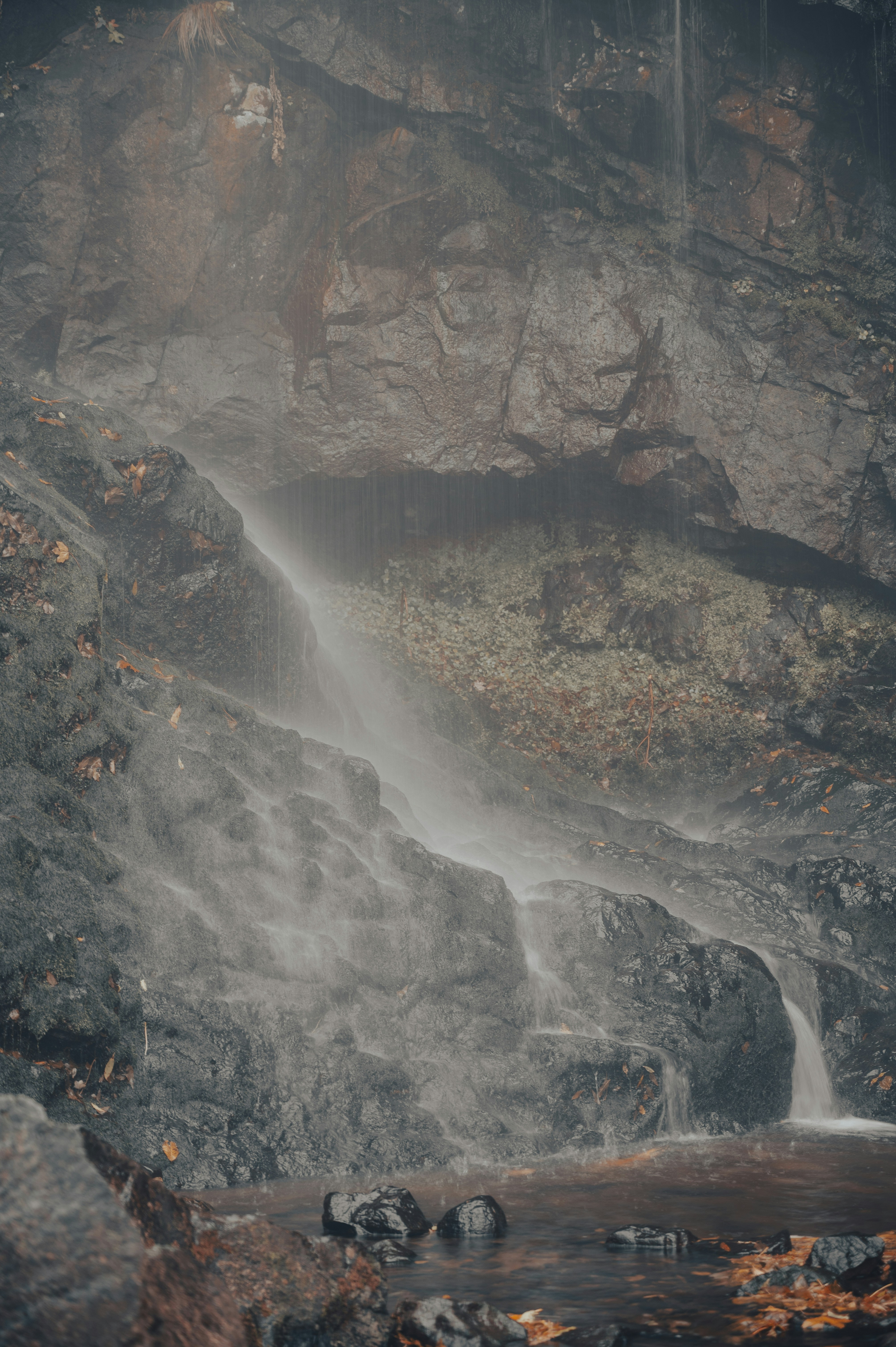 Photo by iso_excited