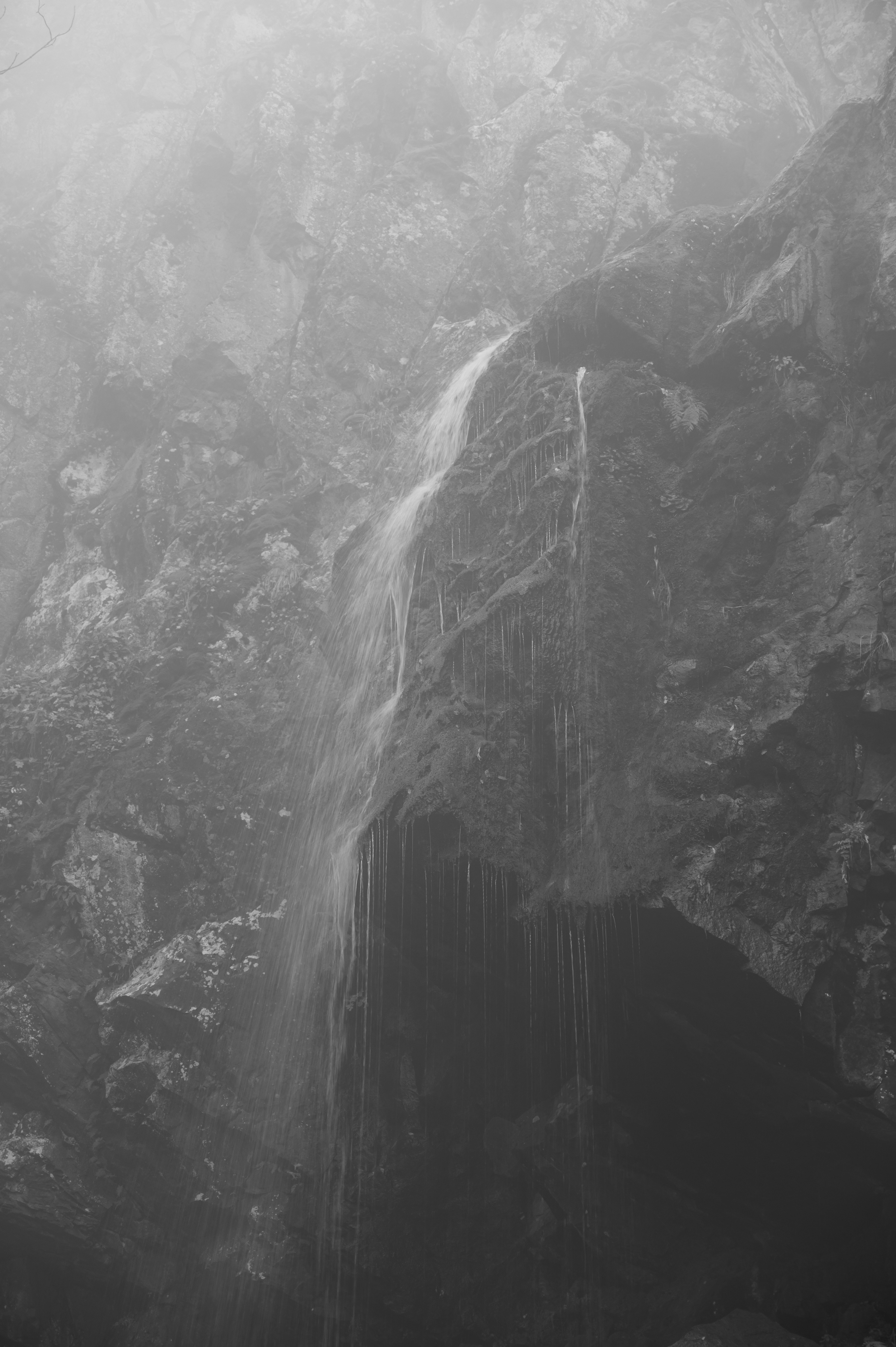 Photo by iso_excited