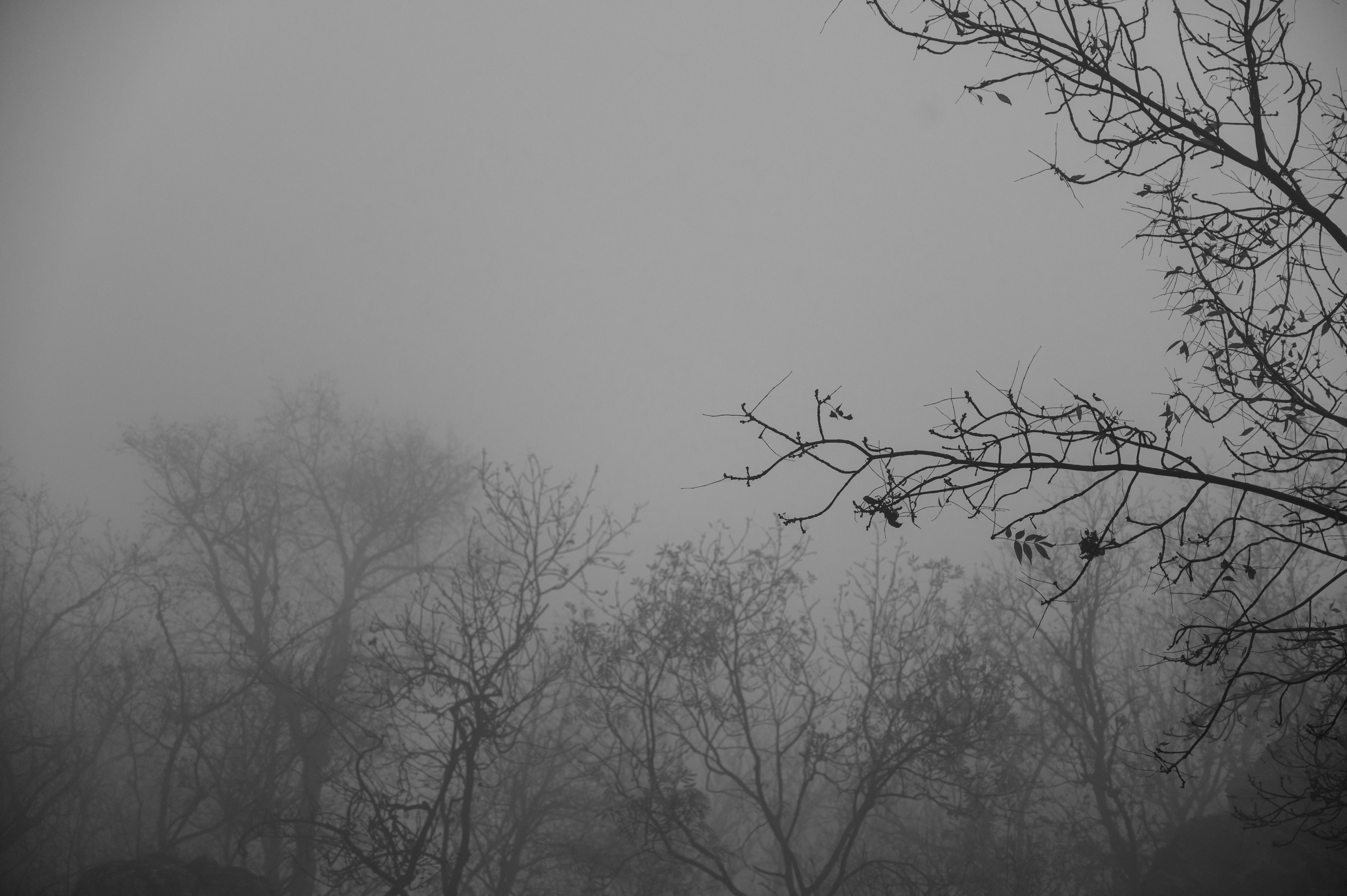 Photo by iso_excited