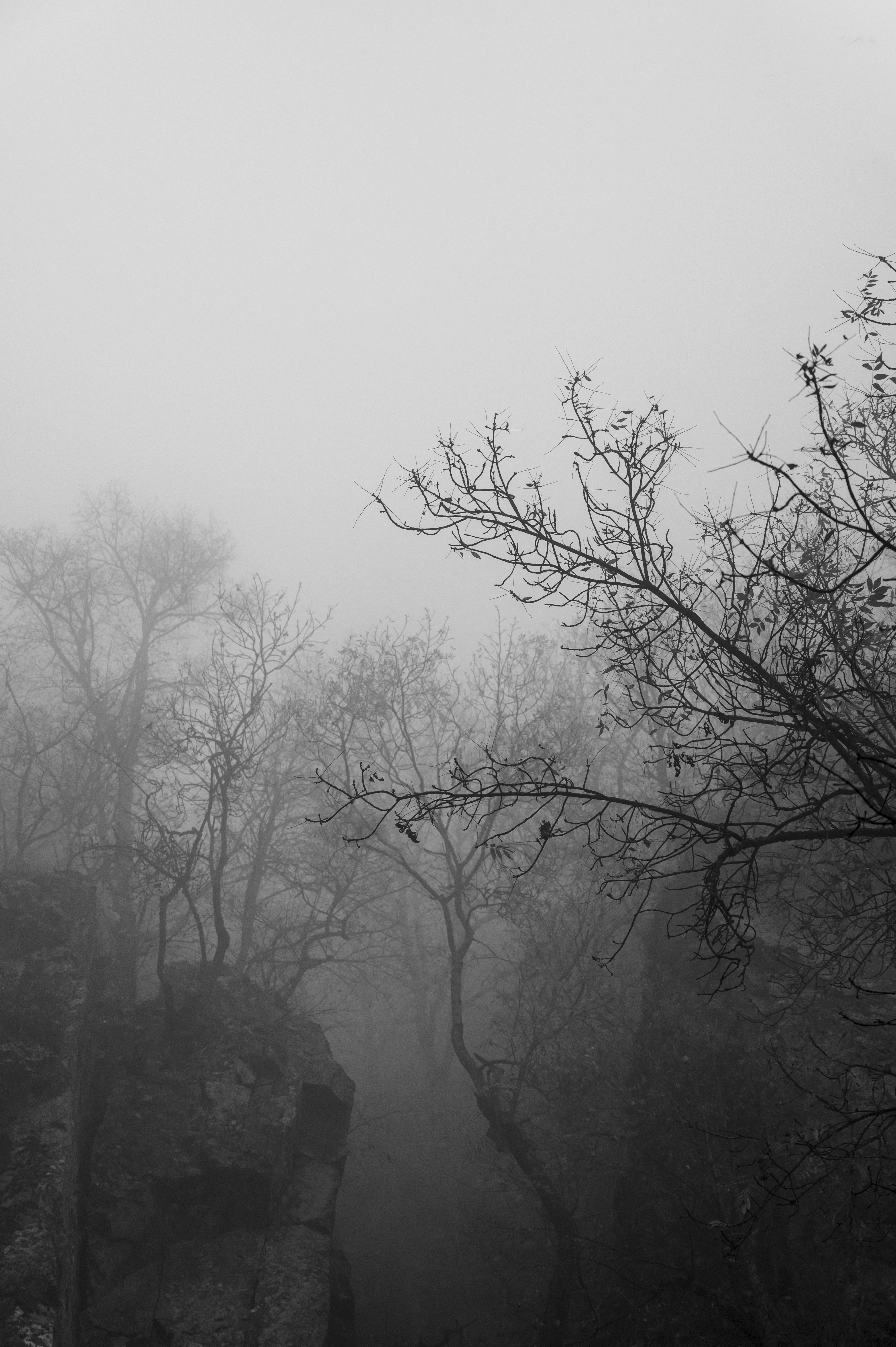 Photo by iso_excited