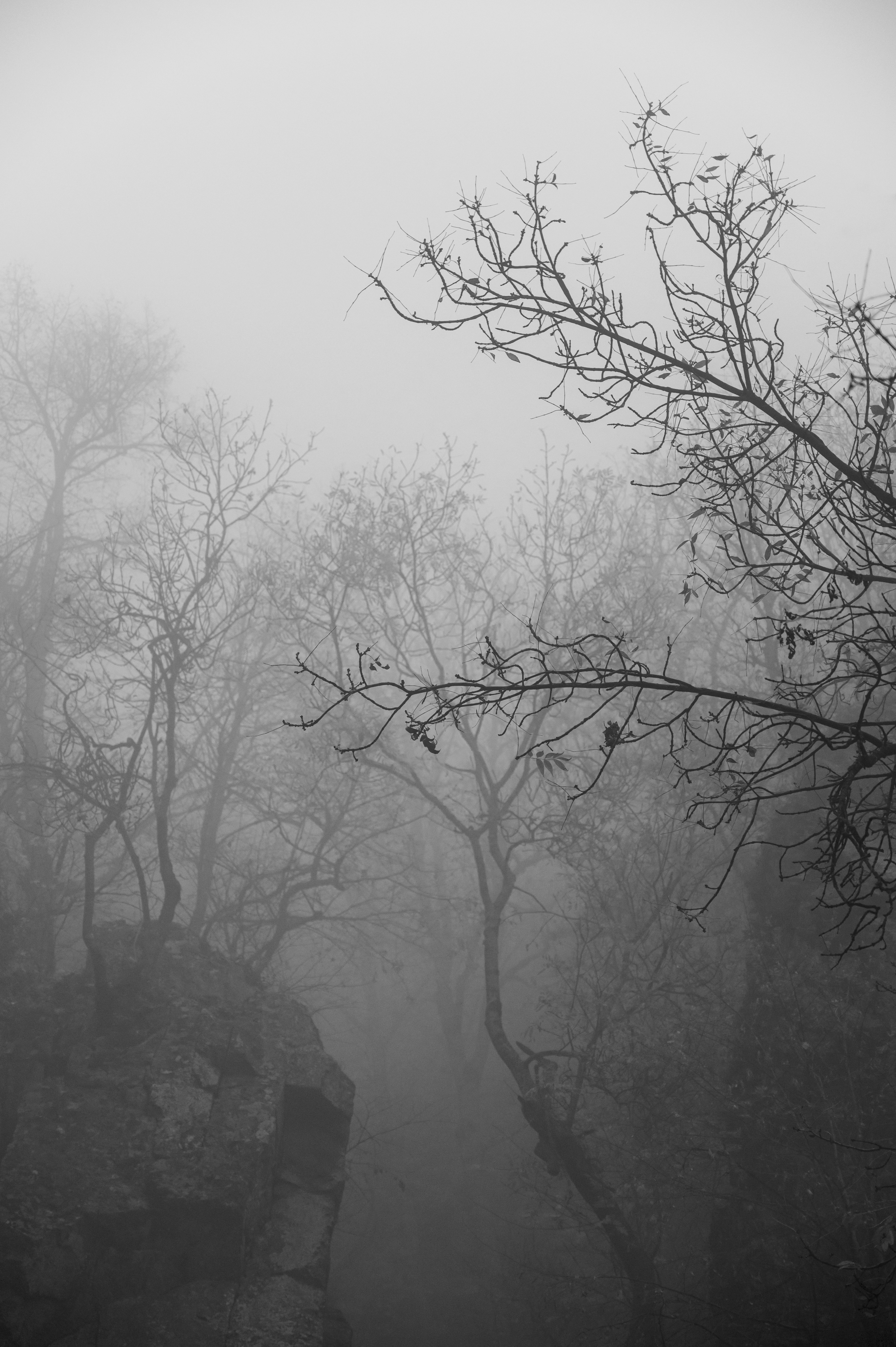 Photo by iso_excited