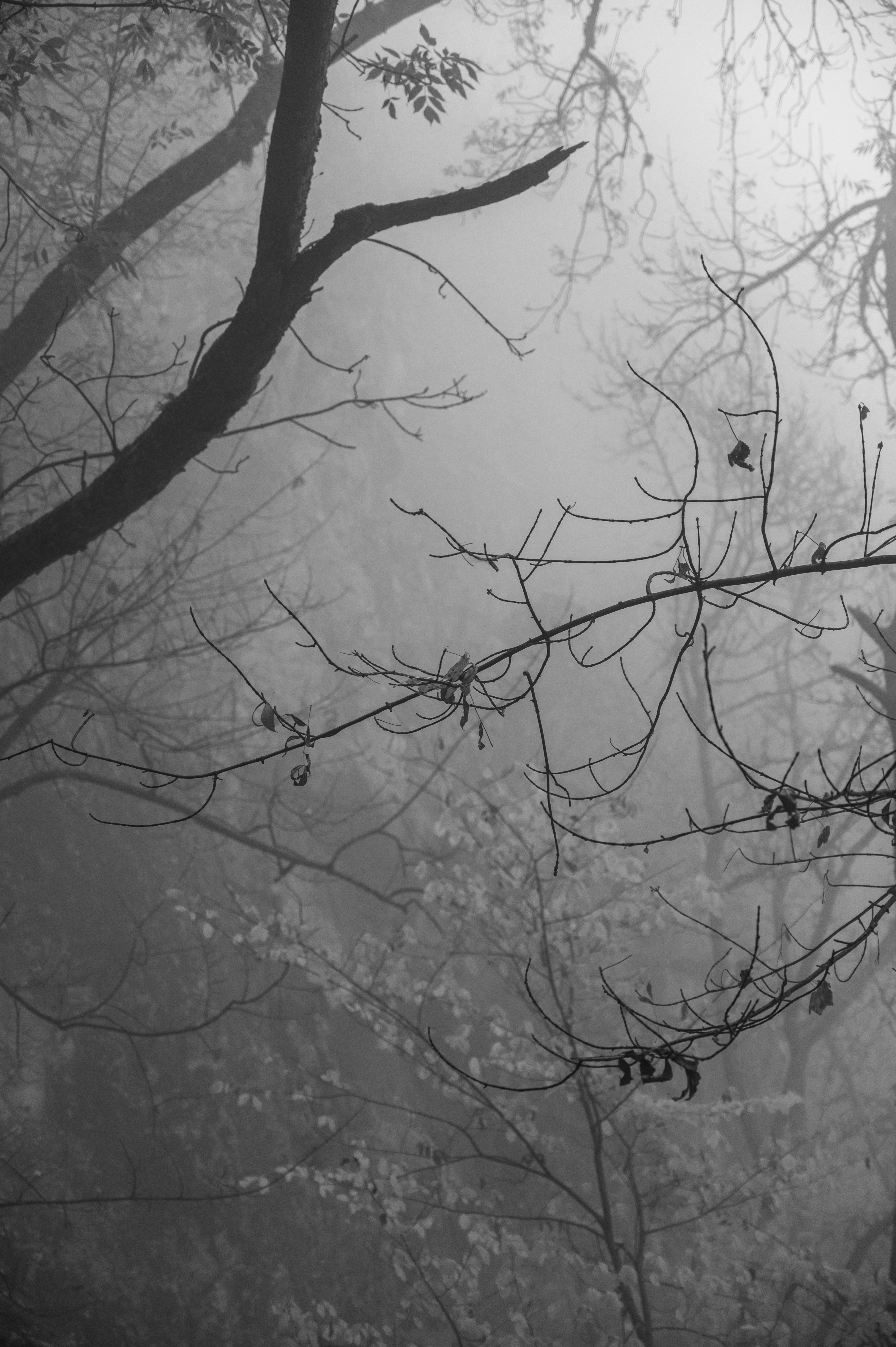 Photo by iso_excited