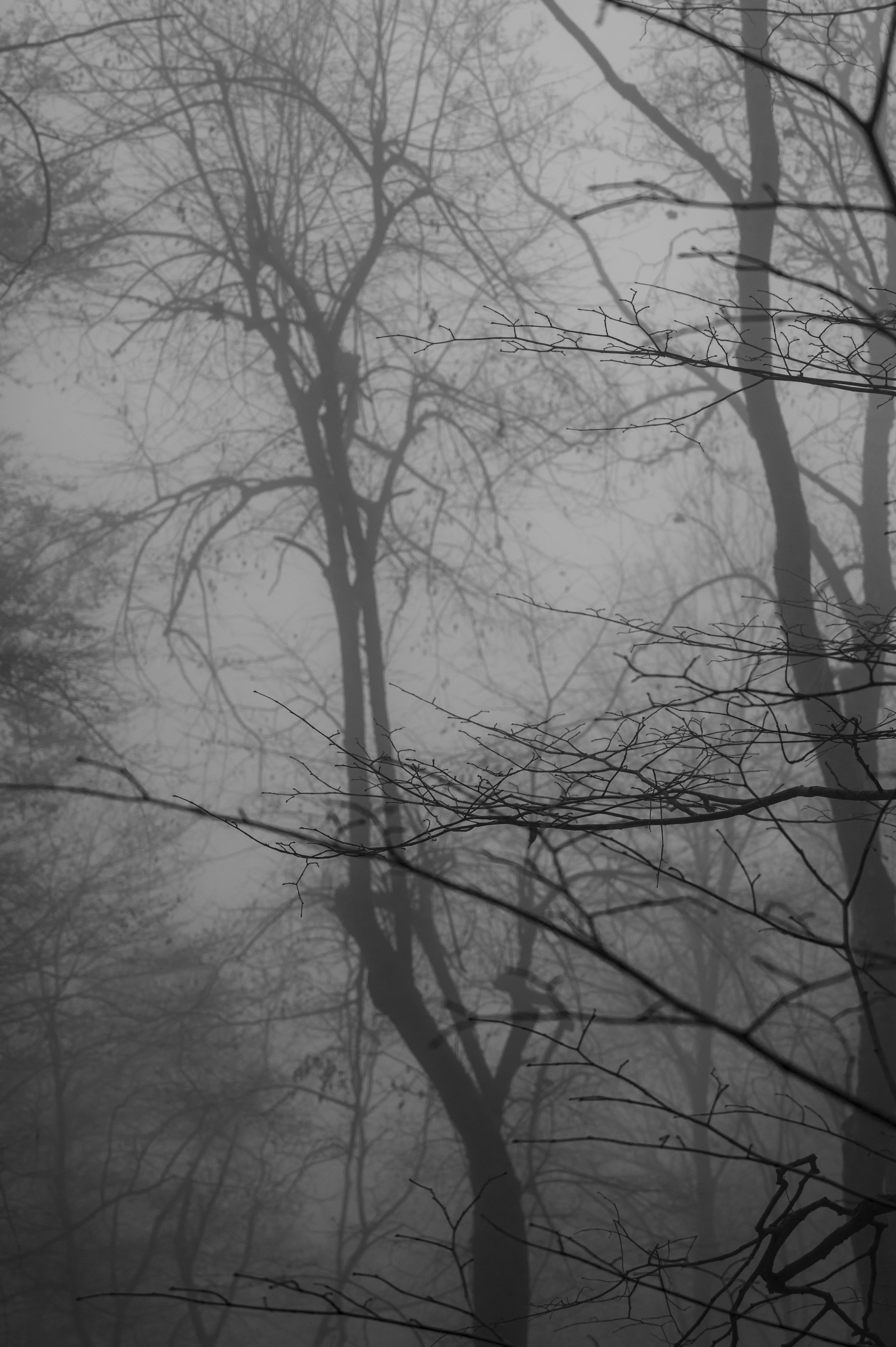 Photo by iso_excited