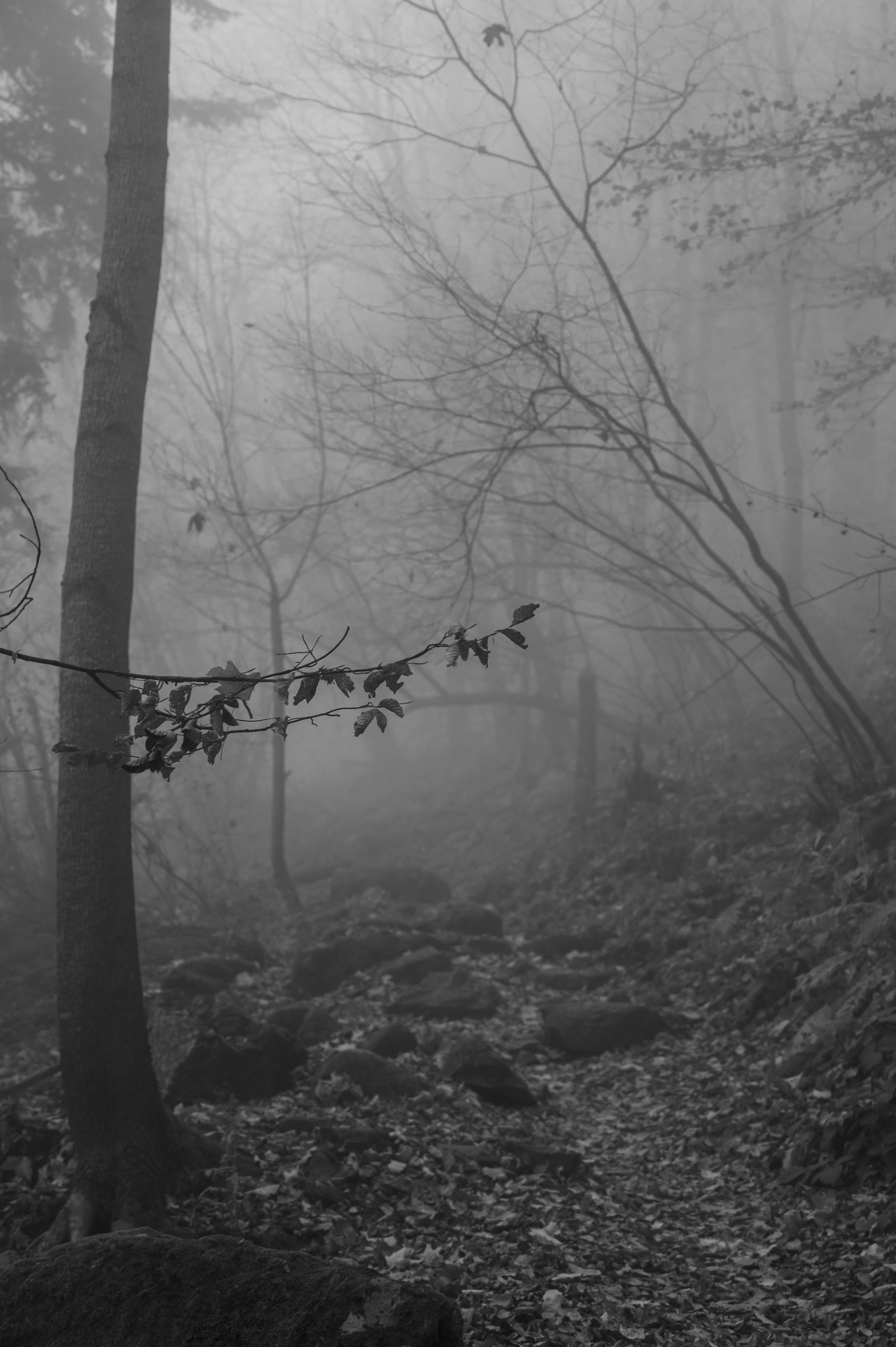 Photo by iso_excited