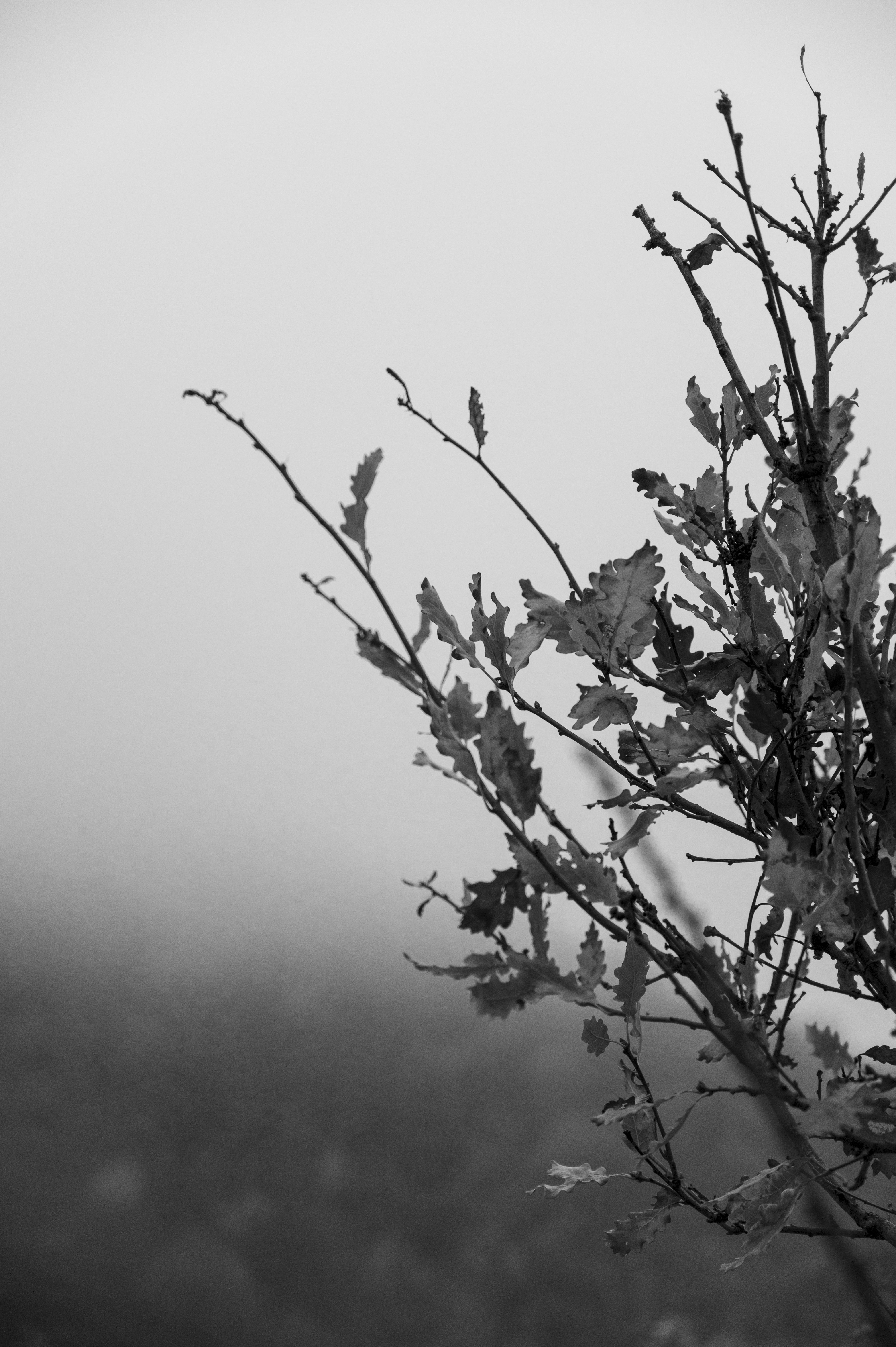 Photo by iso_excited