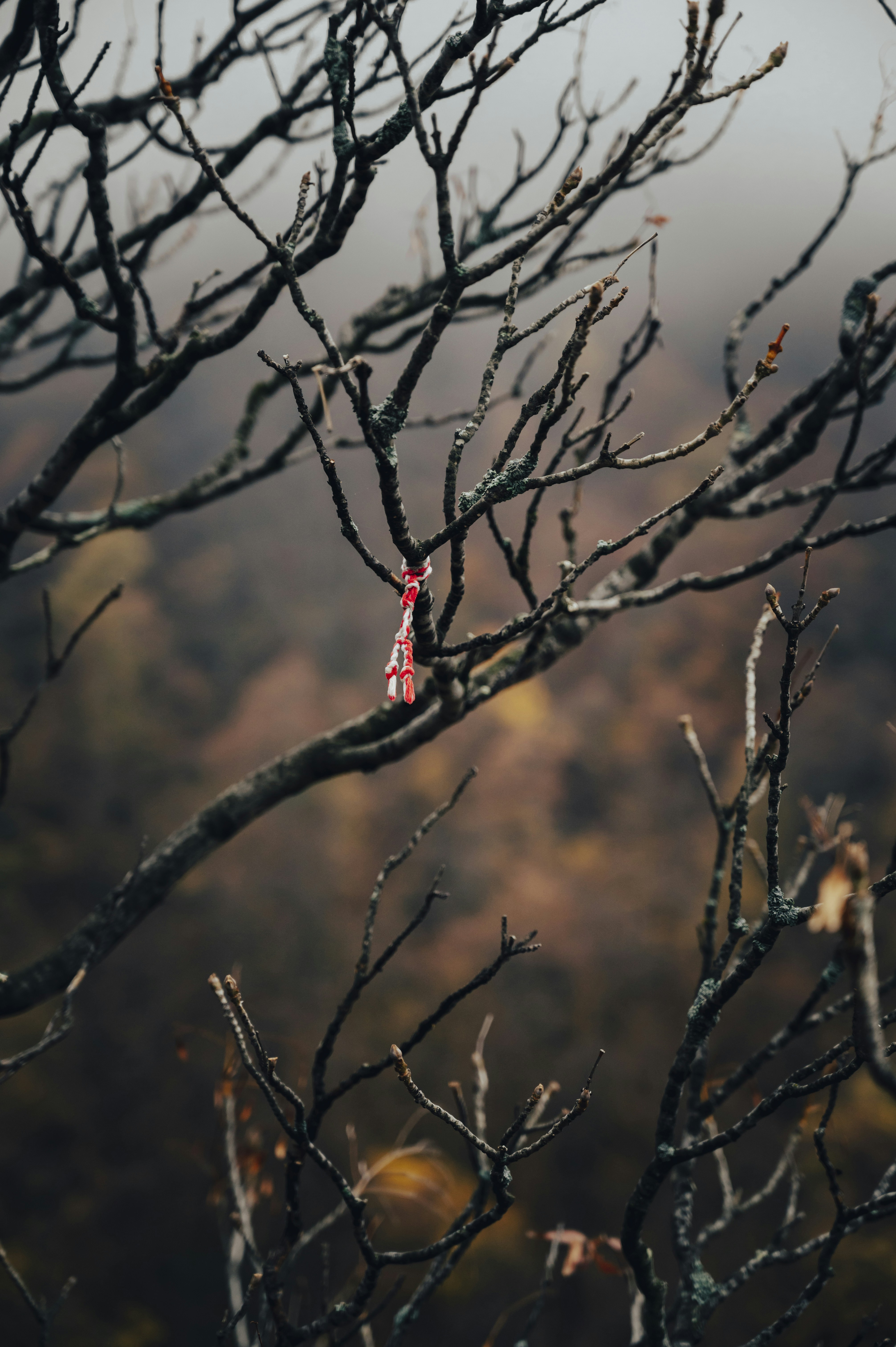 Photo by iso_excited