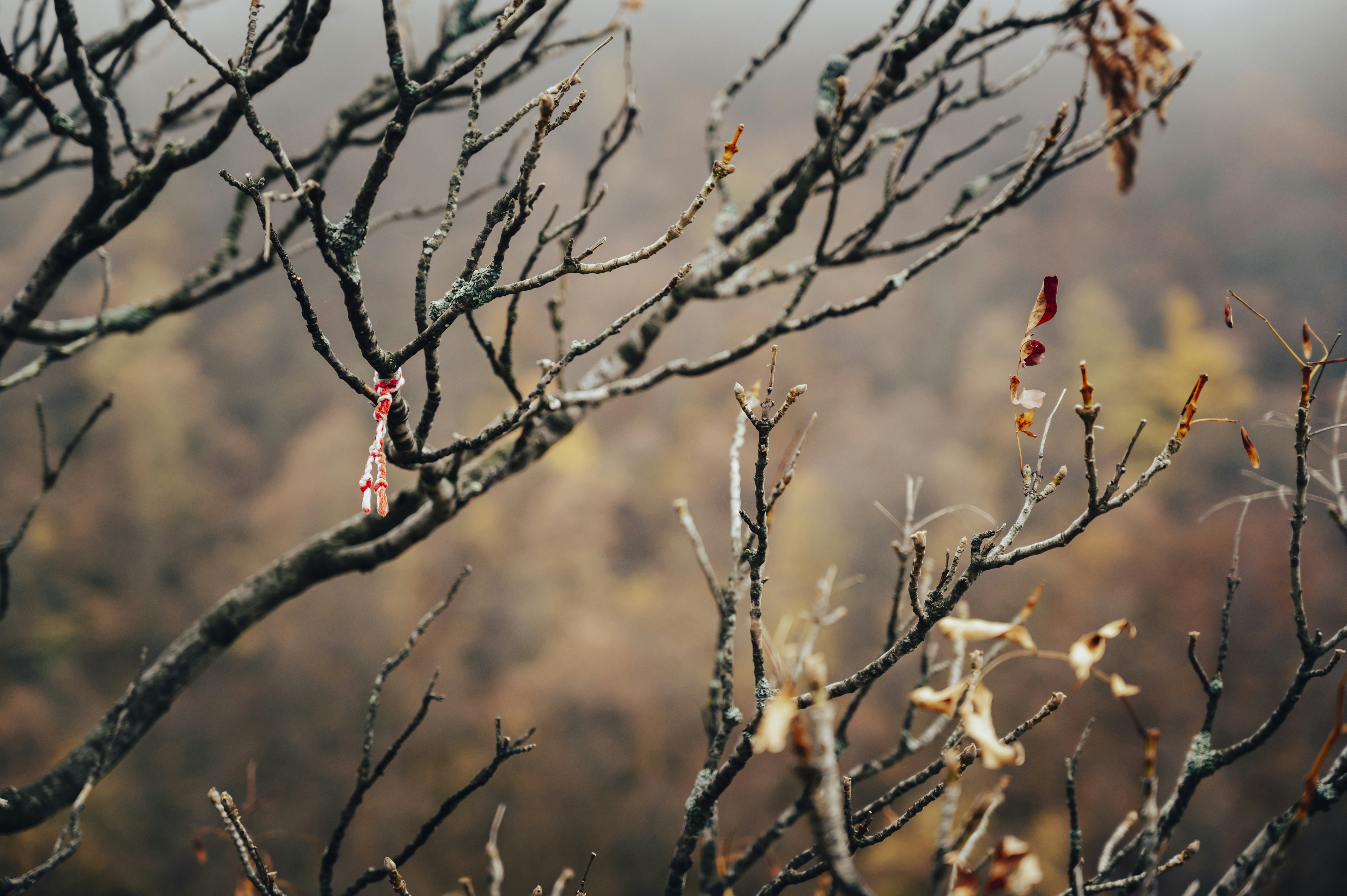 Photo by iso_excited