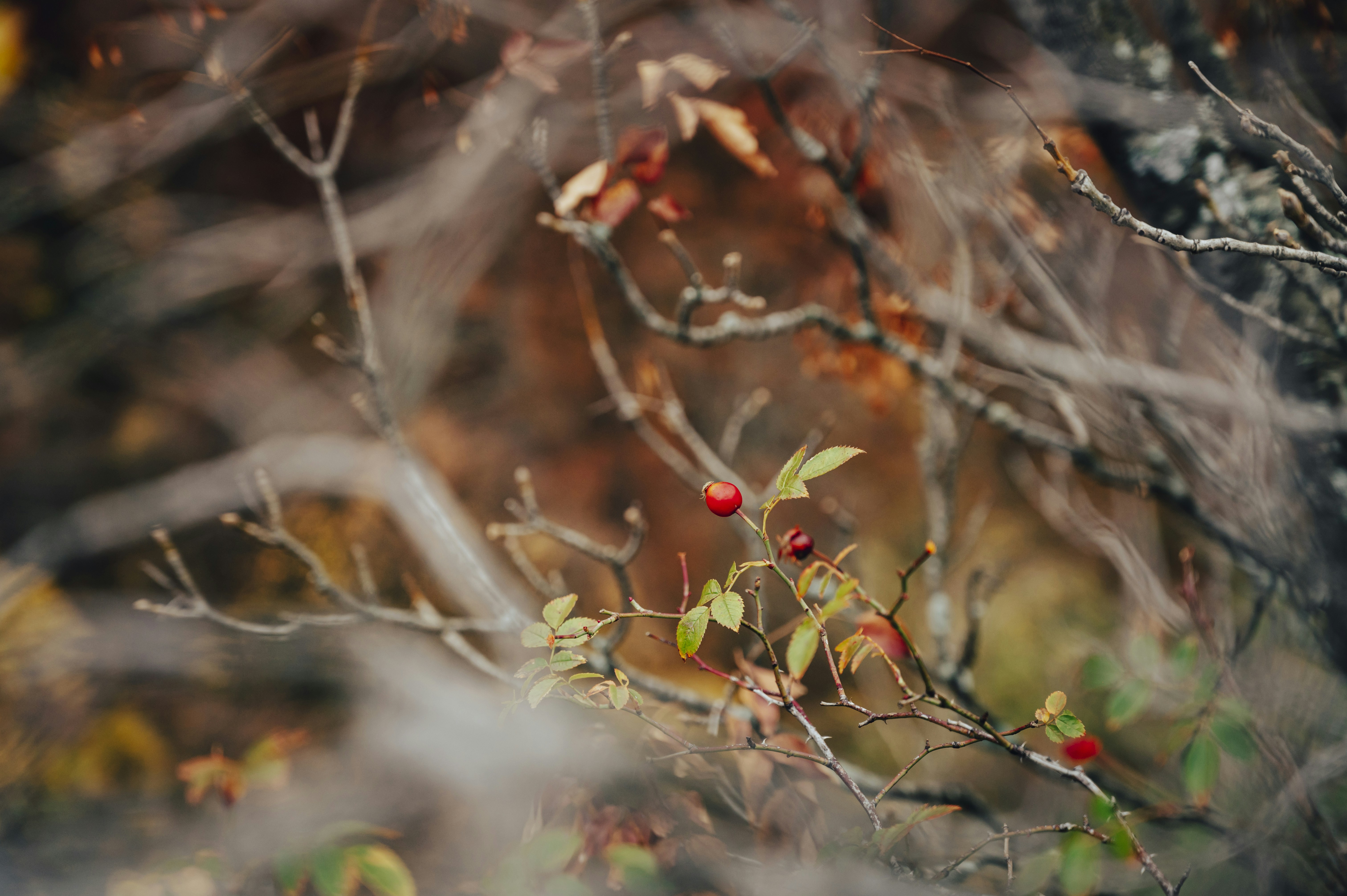 Photo by iso_excited