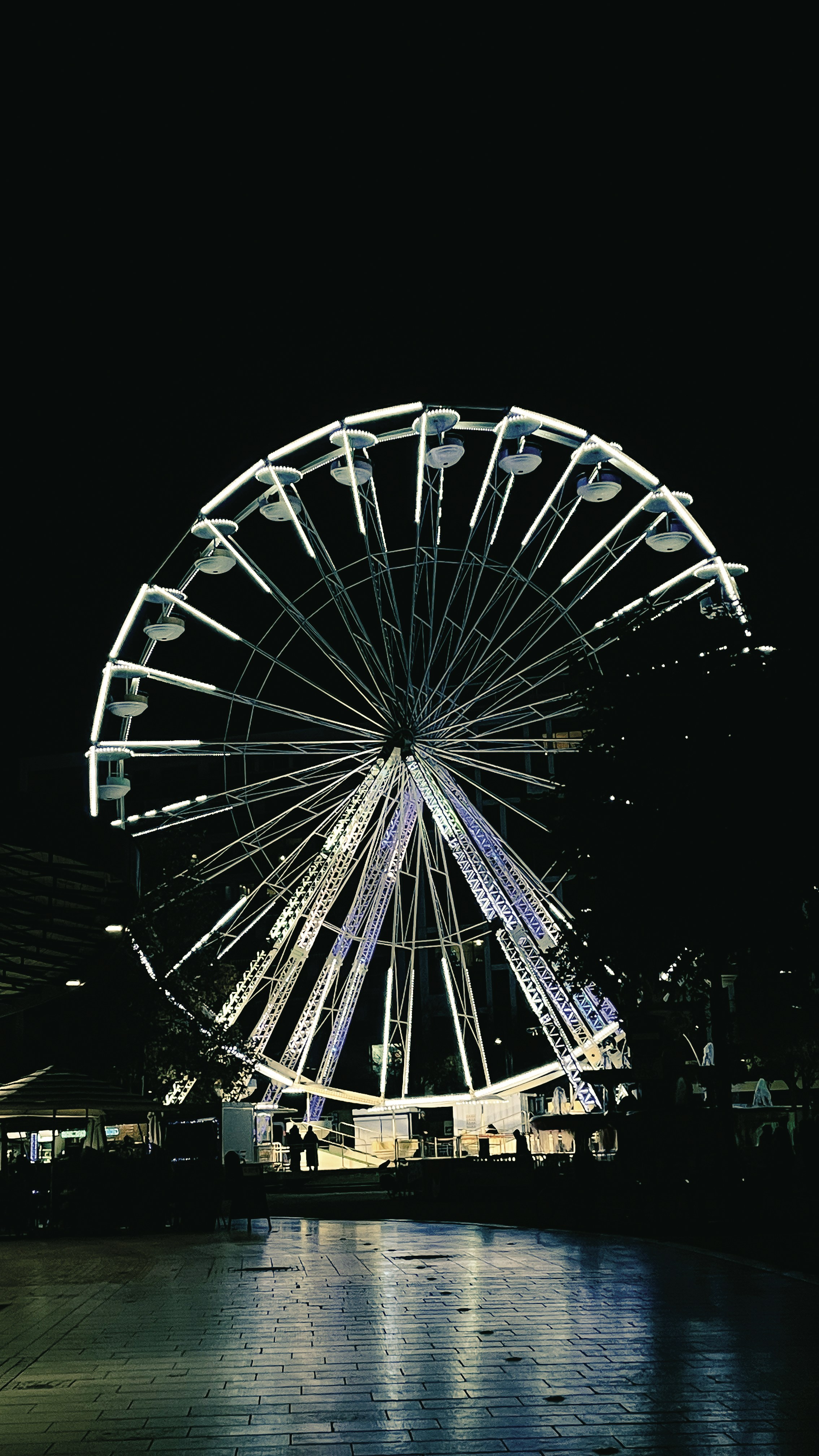 Ferris wheel illuminated at night with reflections